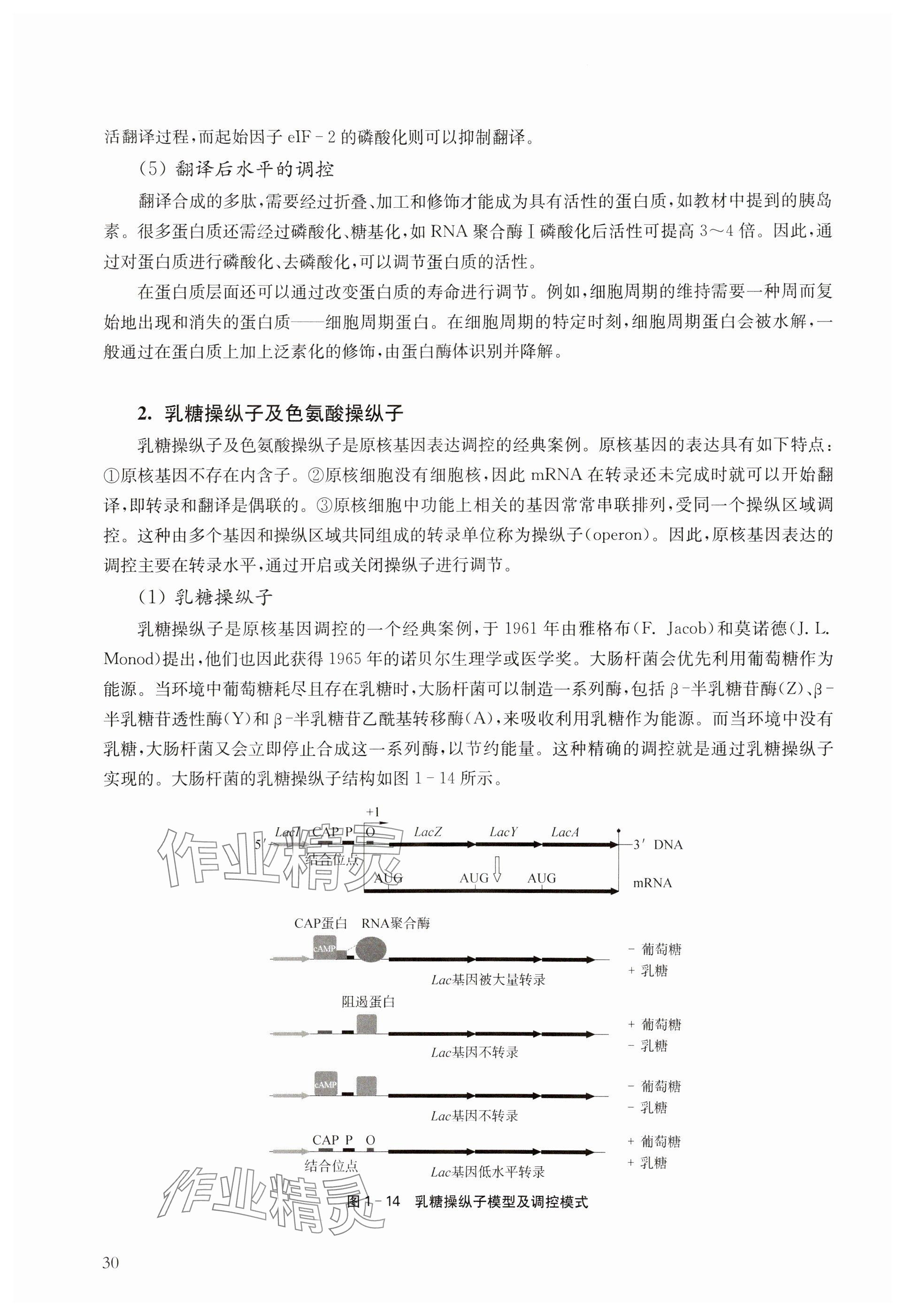 2024年教材課本高中生物必修2滬教版 參考答案第30頁
