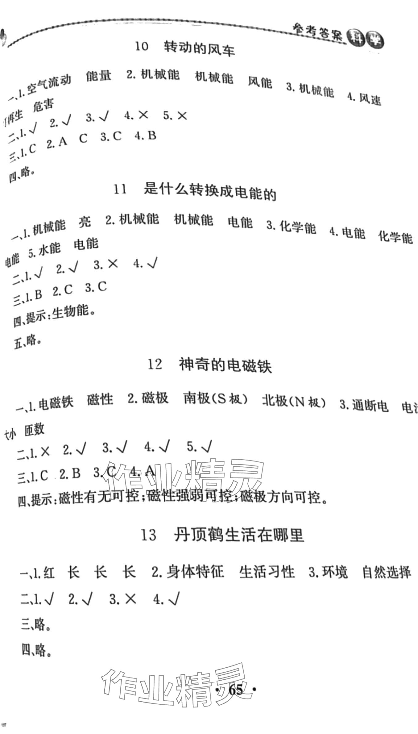 2024年同步活动册六年级科学下册科粤版 第3页