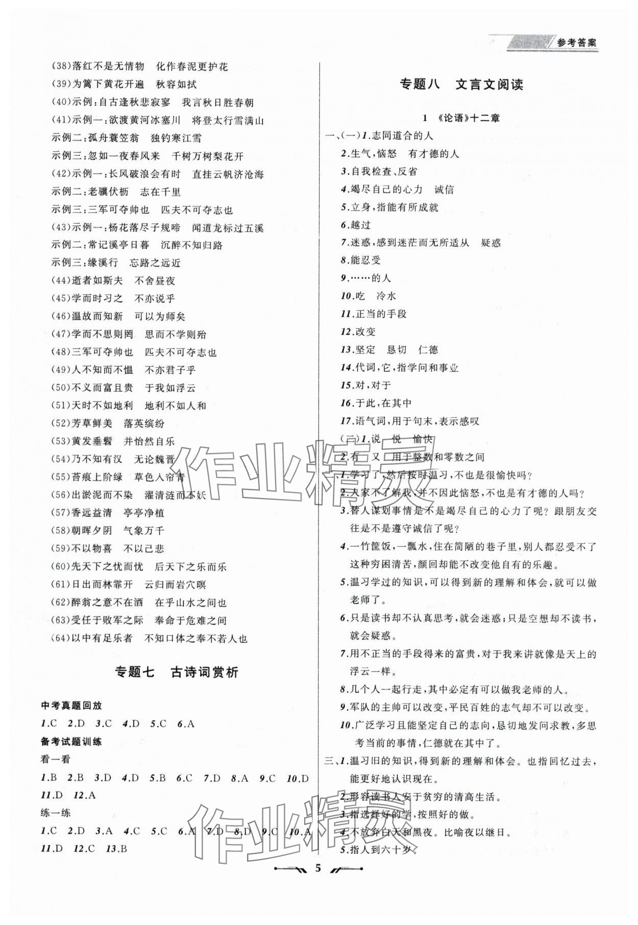 2025年中考全程复习训练语文 第5页