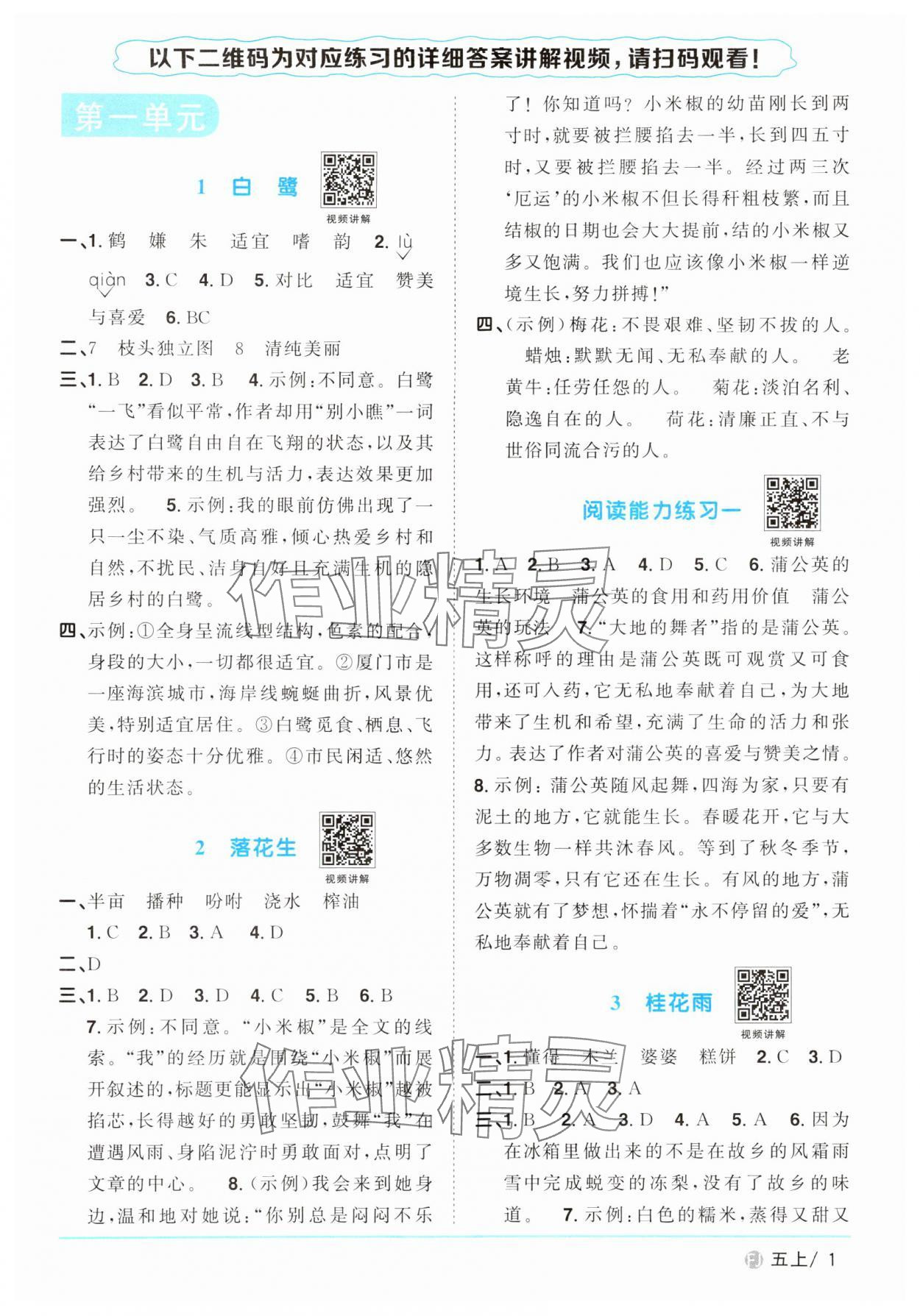 2024年陽(yáng)光同學(xué)課時(shí)優(yōu)化作業(yè)五年級(jí)語(yǔ)文上冊(cè)人教版福建專版 第1頁(yè)