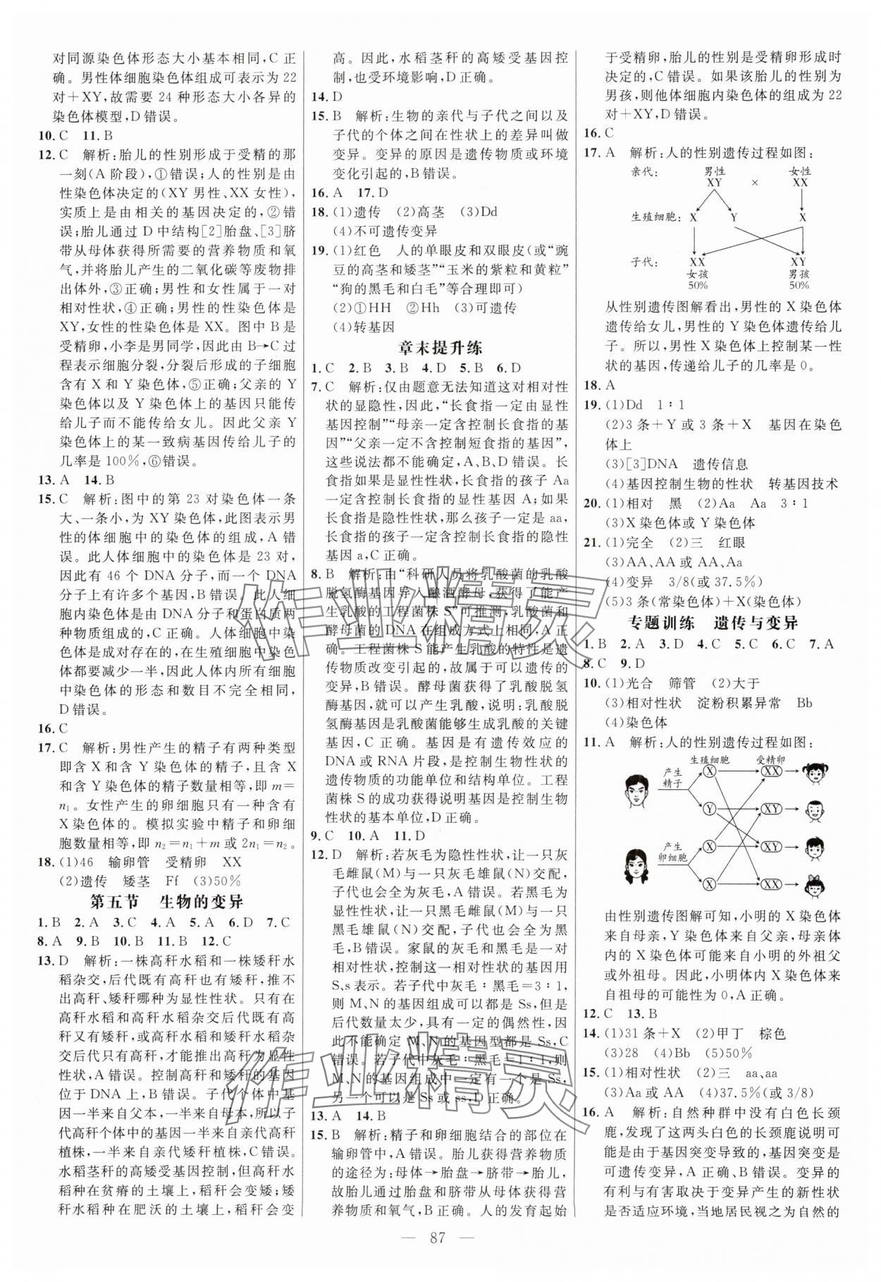 2024年細(xì)解巧練八年級(jí)生物下冊(cè)魯科版54制 參考答案第3頁