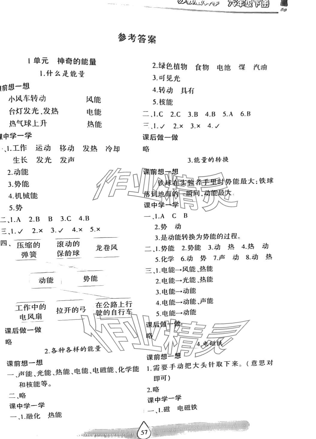 2024年新课标两导两练高效学案六年级科学下册苏教版 第1页