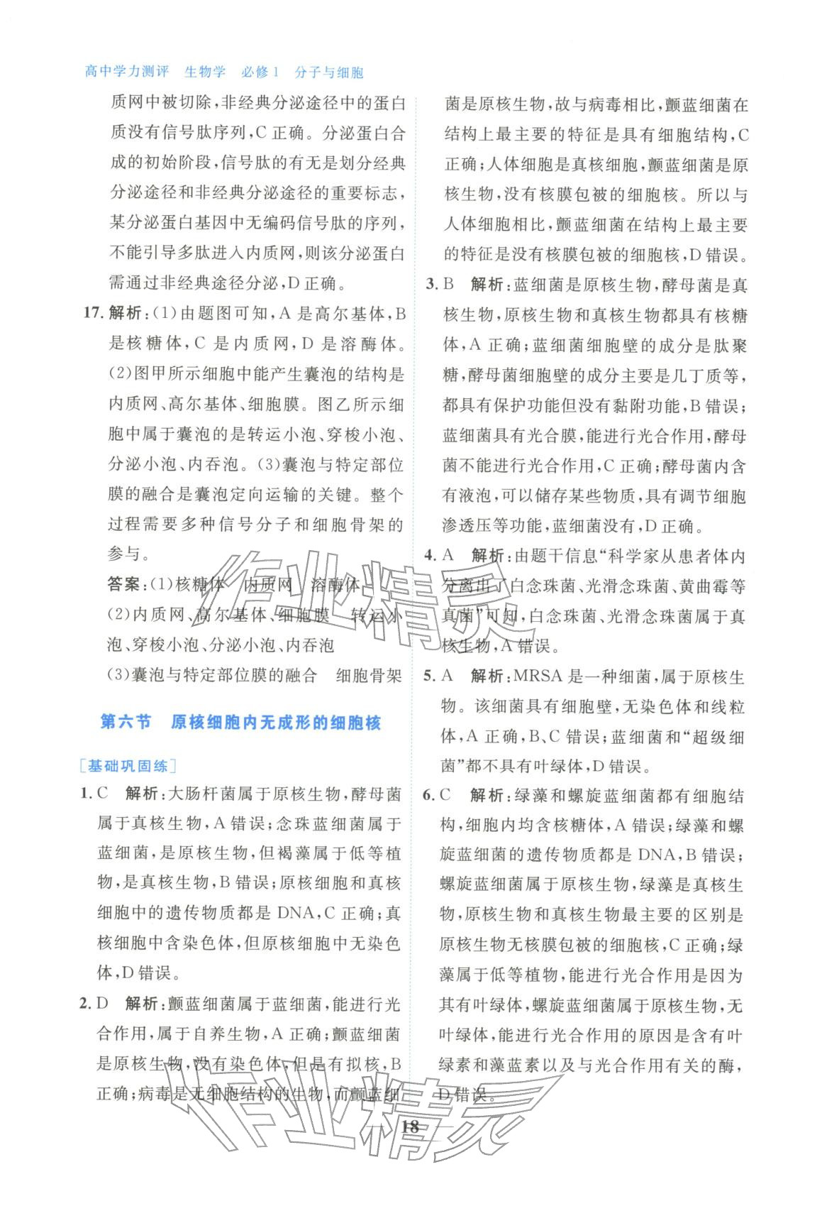 2025年高中學(xué)力測評生物必修第一冊&nbsp;第18頁