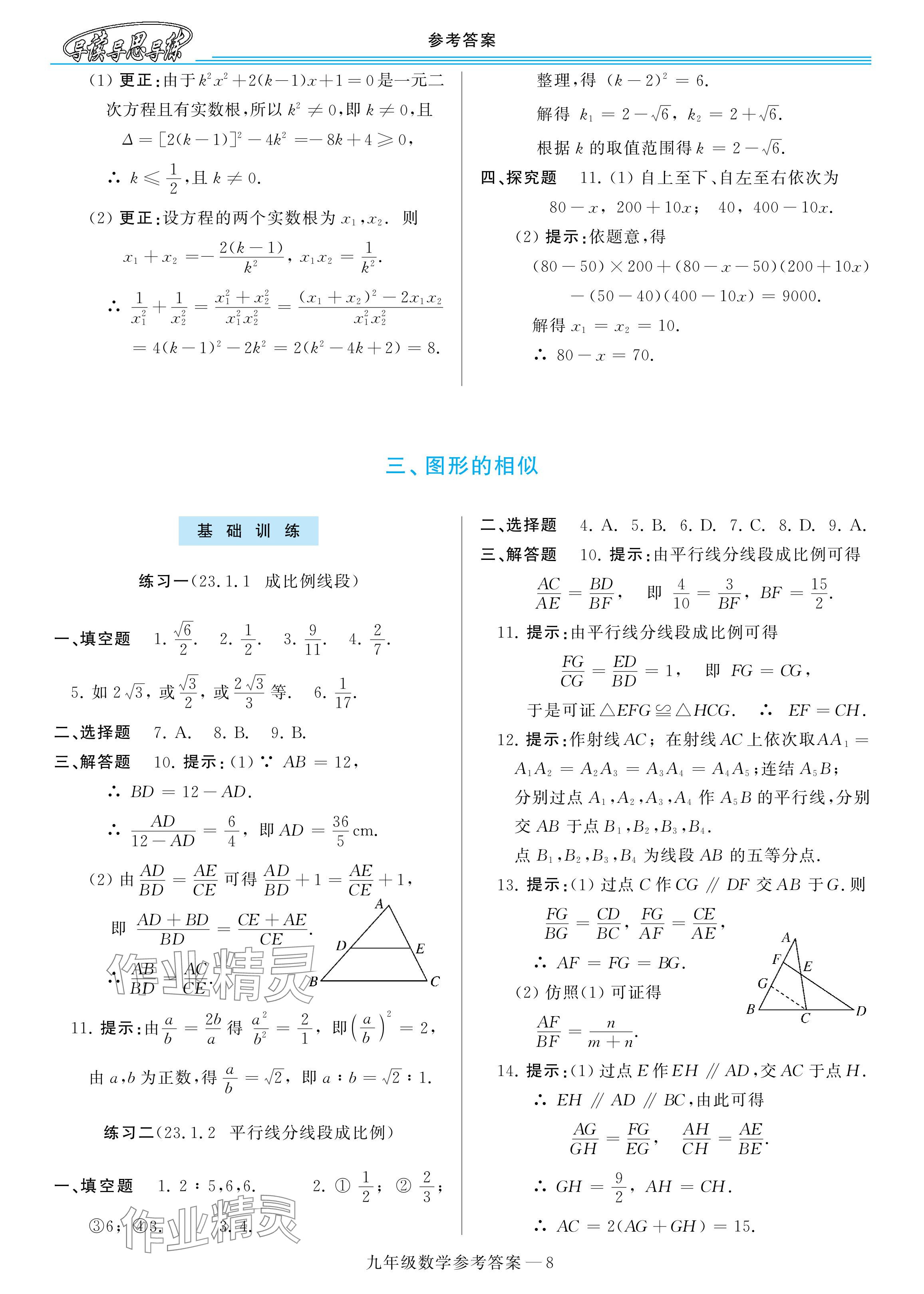 2024年新课程学习指导九年级数学华师大版 参考答案第8页