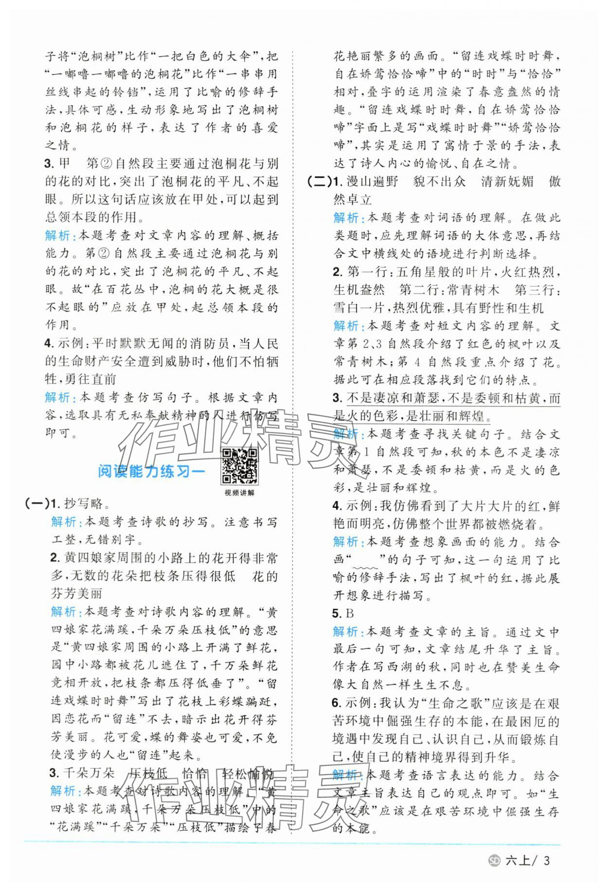 2024年陽(yáng)光同學(xué)課時(shí)優(yōu)化作業(yè)六年級(jí)語(yǔ)文上冊(cè)人教版菏澤專(zhuān)版 參考答案第3頁(yè)