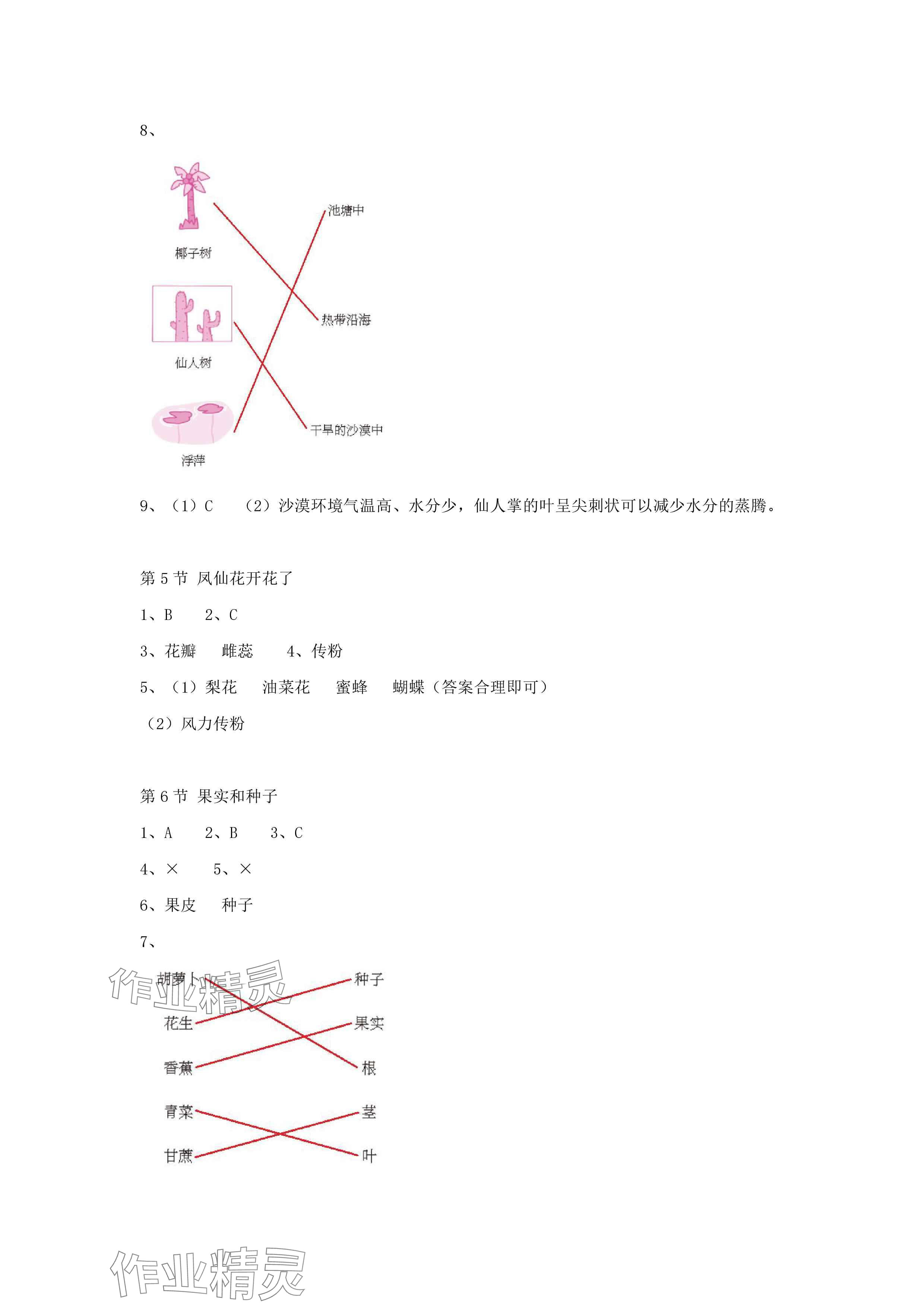 2025年科學課課練四年級下冊教科版 參考答案第2頁