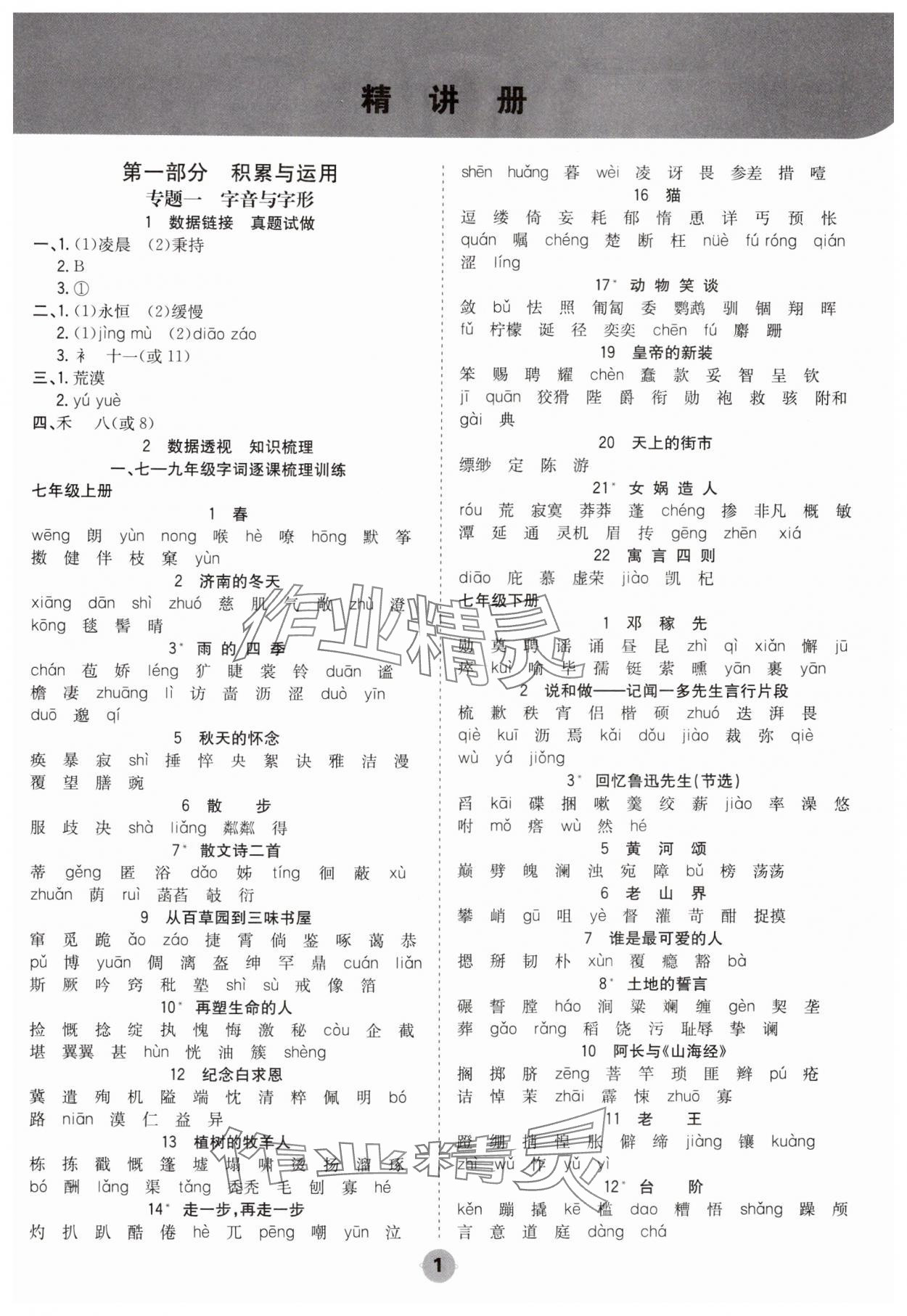2025年中考大數據語文中考河北專版 參考答案第1頁