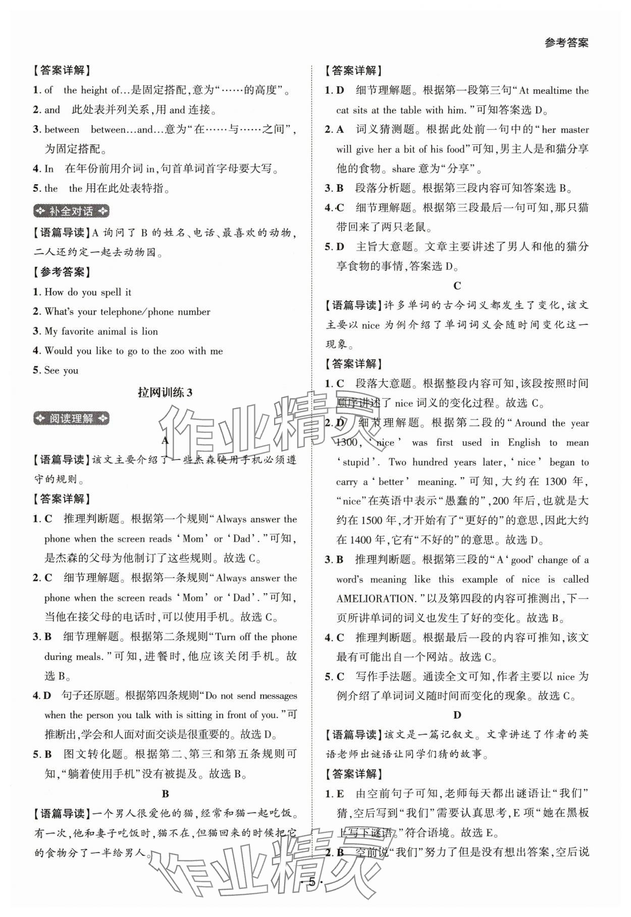 2025年閱讀拉網訓練七年級英語人教版 第5頁