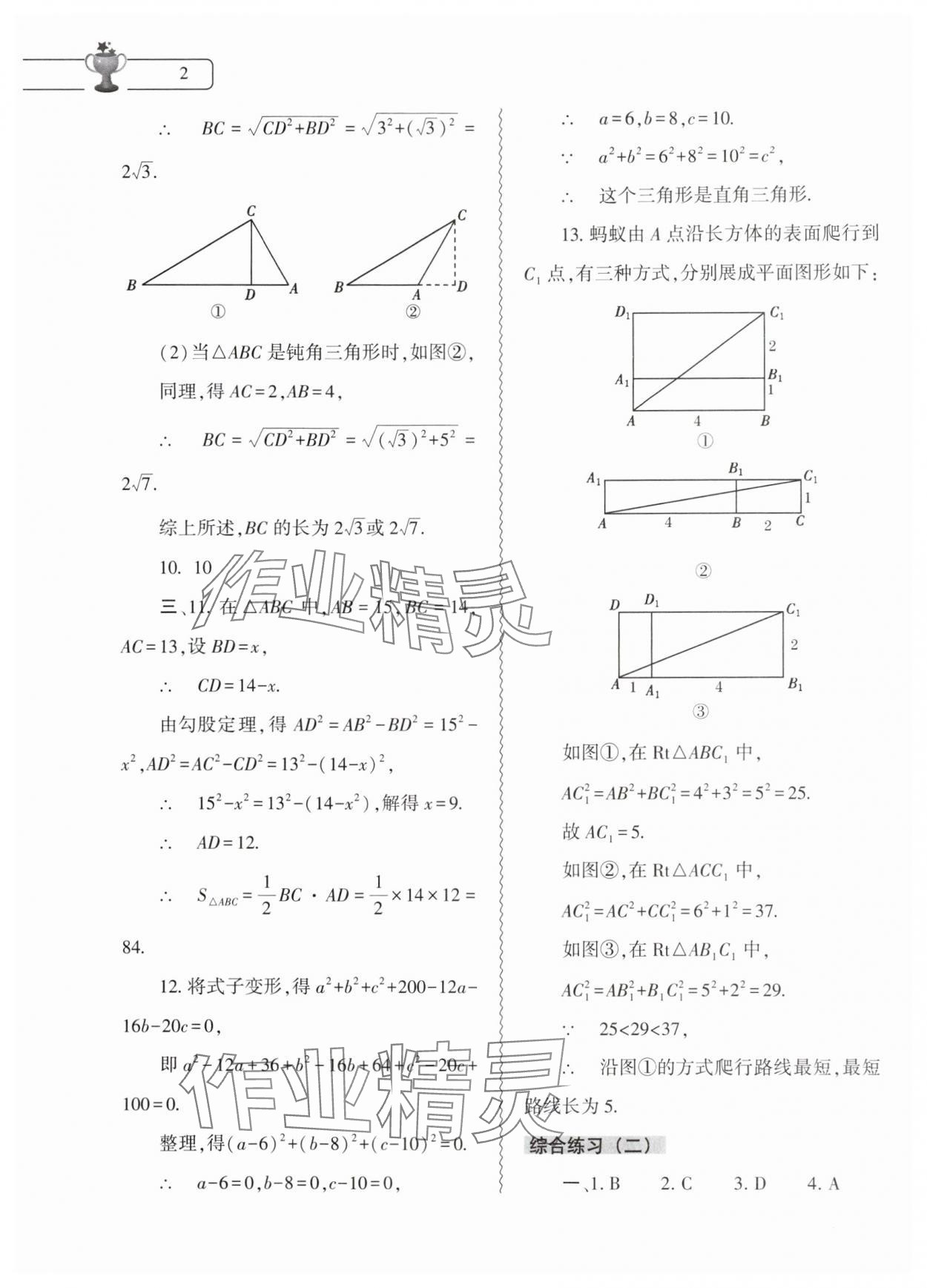 2025年數(shù)學(xué)寒假作業(yè)本八年級(jí)北師大版大象出版社 第2頁(yè)