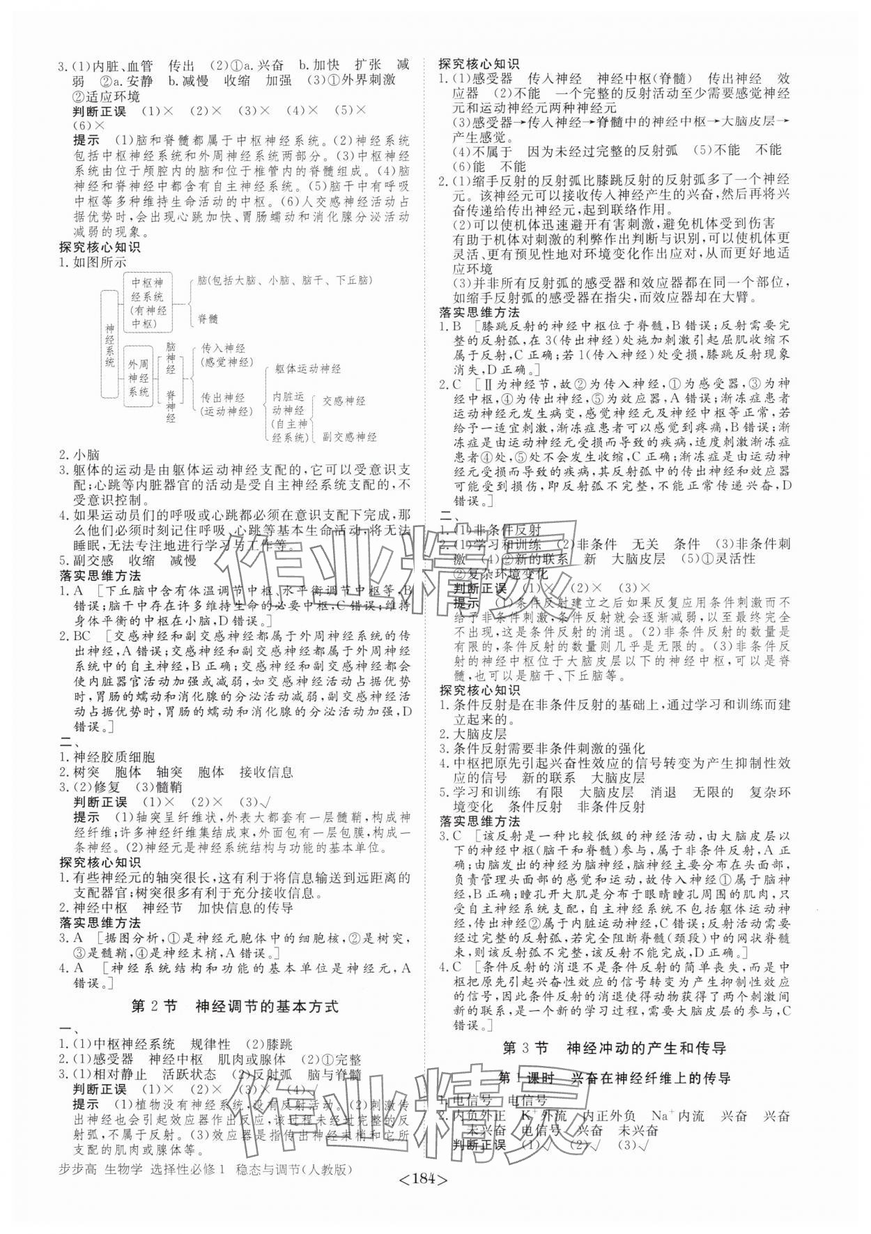 2025年步步高学习笔记高中生物选择性必修1人教版 参考答案第3页