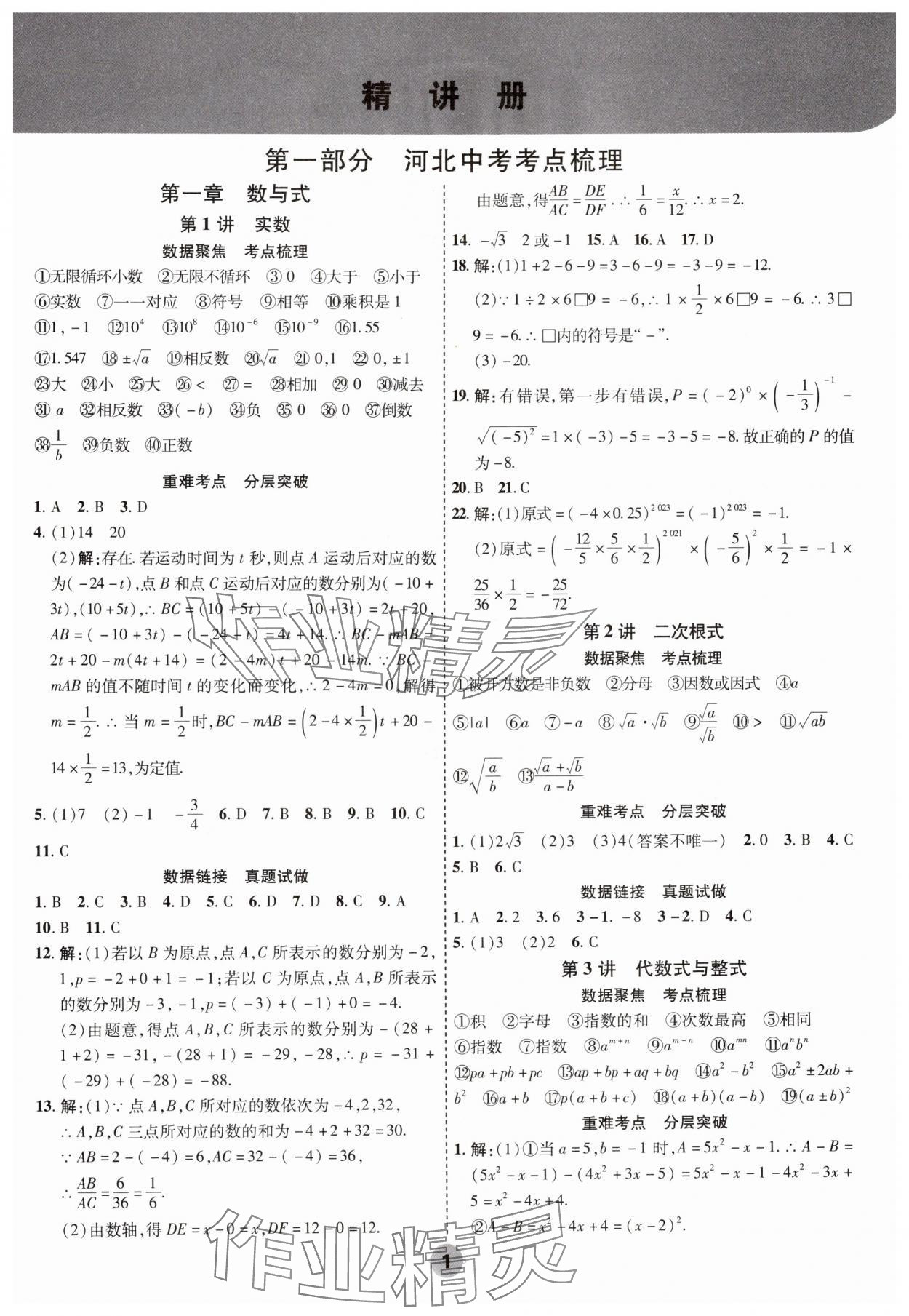 2025年中考大數據數學河北專版 參考答案第1頁