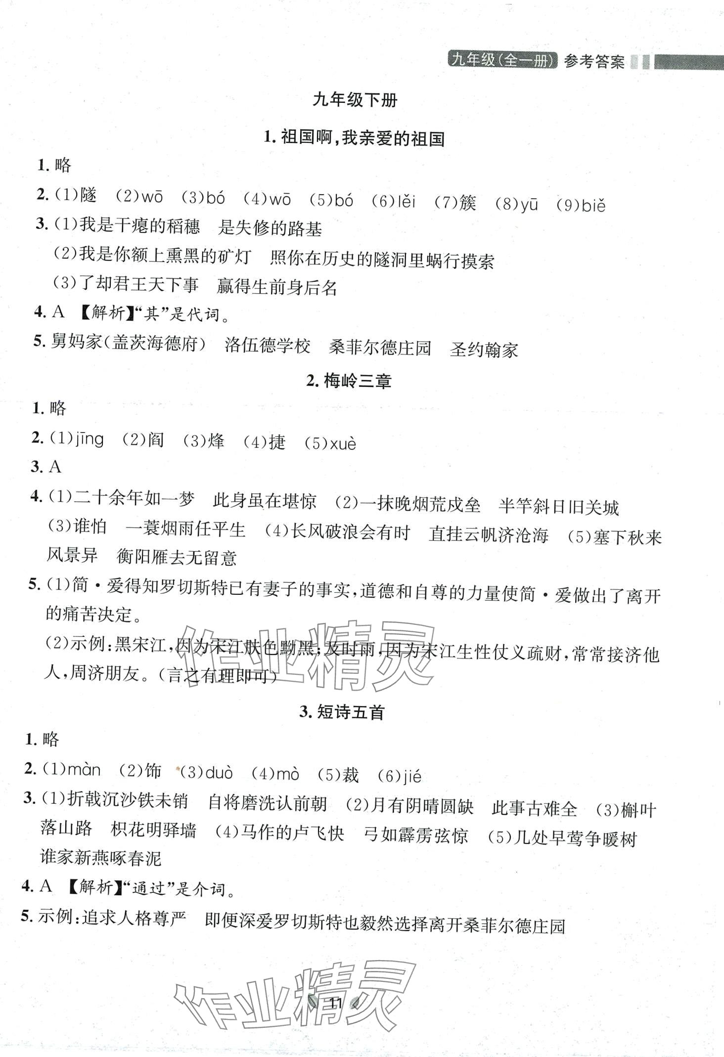 2023年點(diǎn)石成金金牌奪冠九年級(jí)語(yǔ)文全一冊(cè)人教版遼寧專版 第11頁(yè)