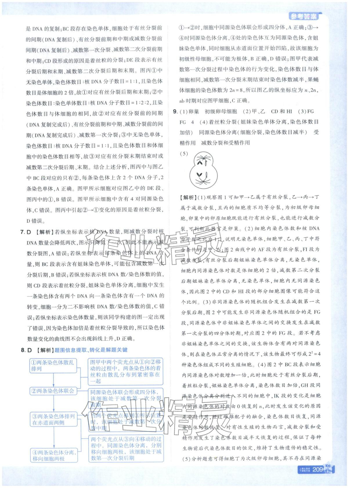 2026年教材帮高中生物必修第二册苏教版&nbsp;第2页