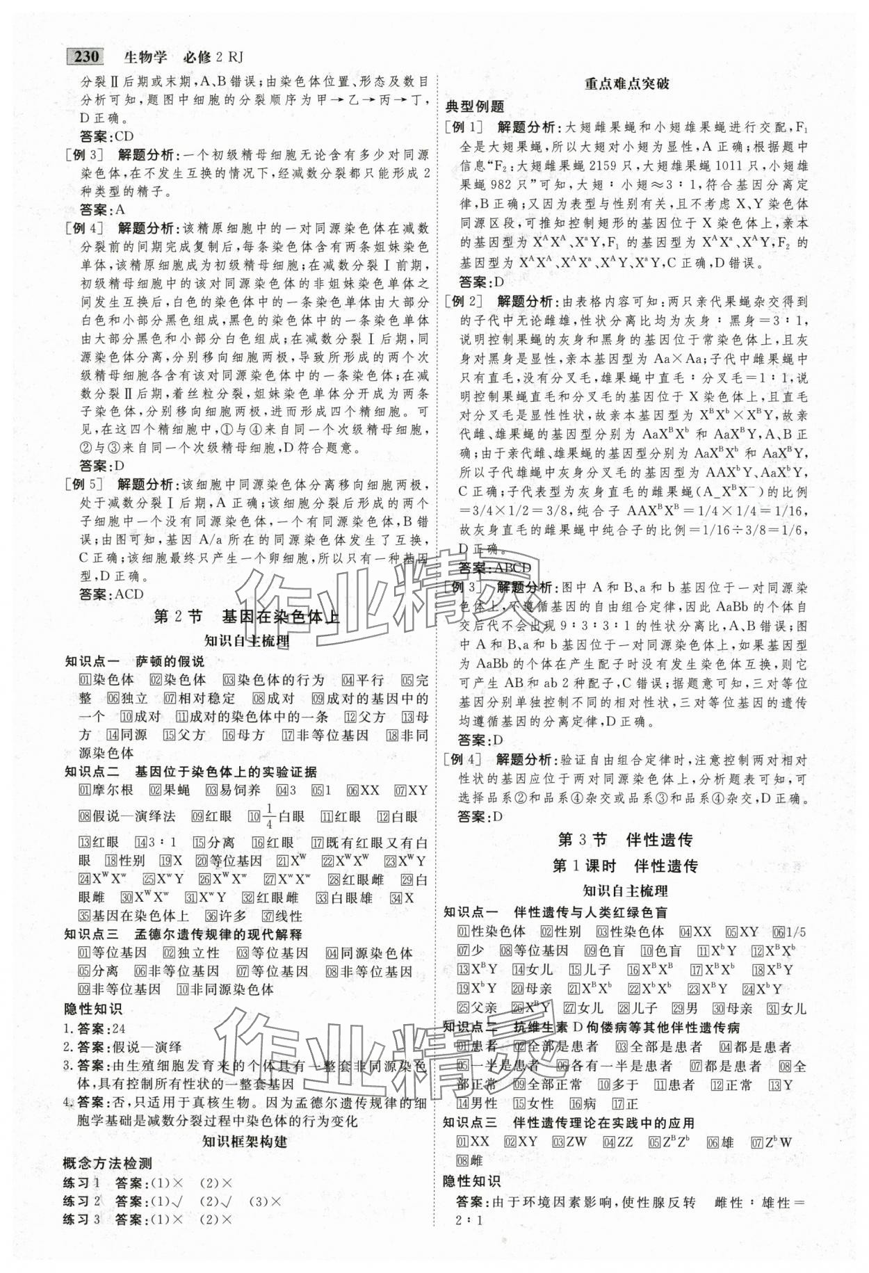2025年金版教程高中新課程創(chuàng)新導(dǎo)學(xué)案生物必修2人教版 參考答案第8頁