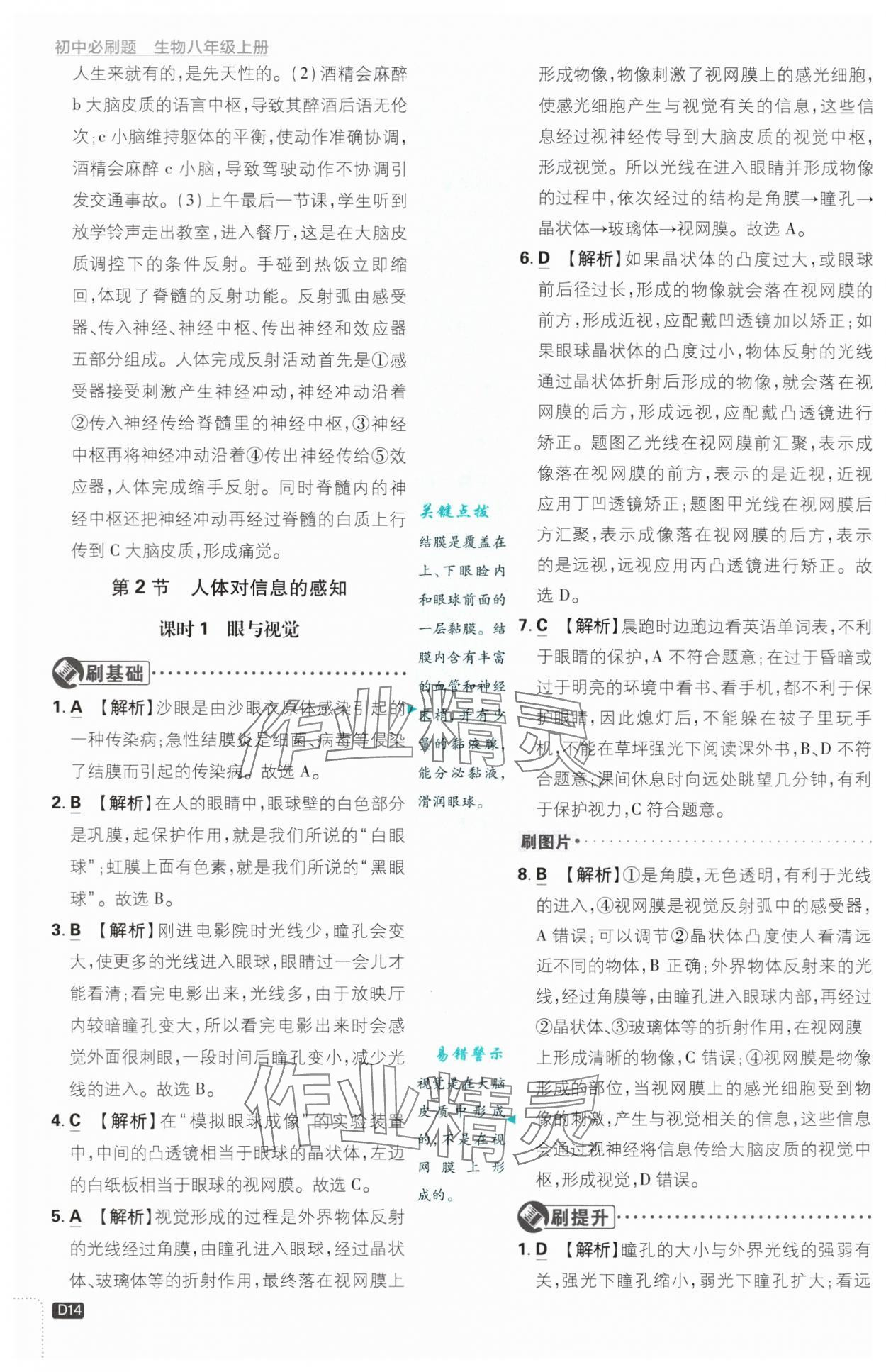 2024年初中必刷題八年級(jí)生物上冊(cè)蘇教版 第14頁