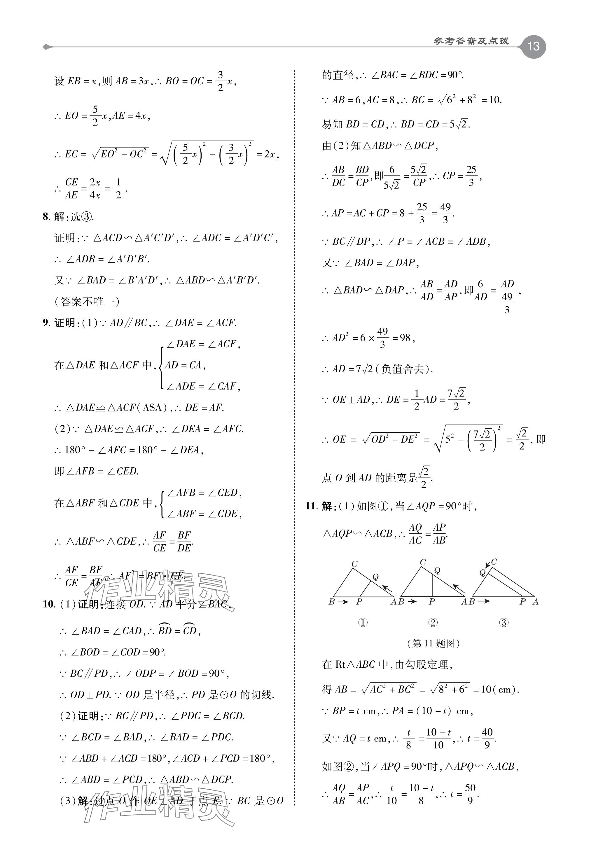 2024年特高級教師點撥九年級數學下冊蘇科版 參考答案第13頁