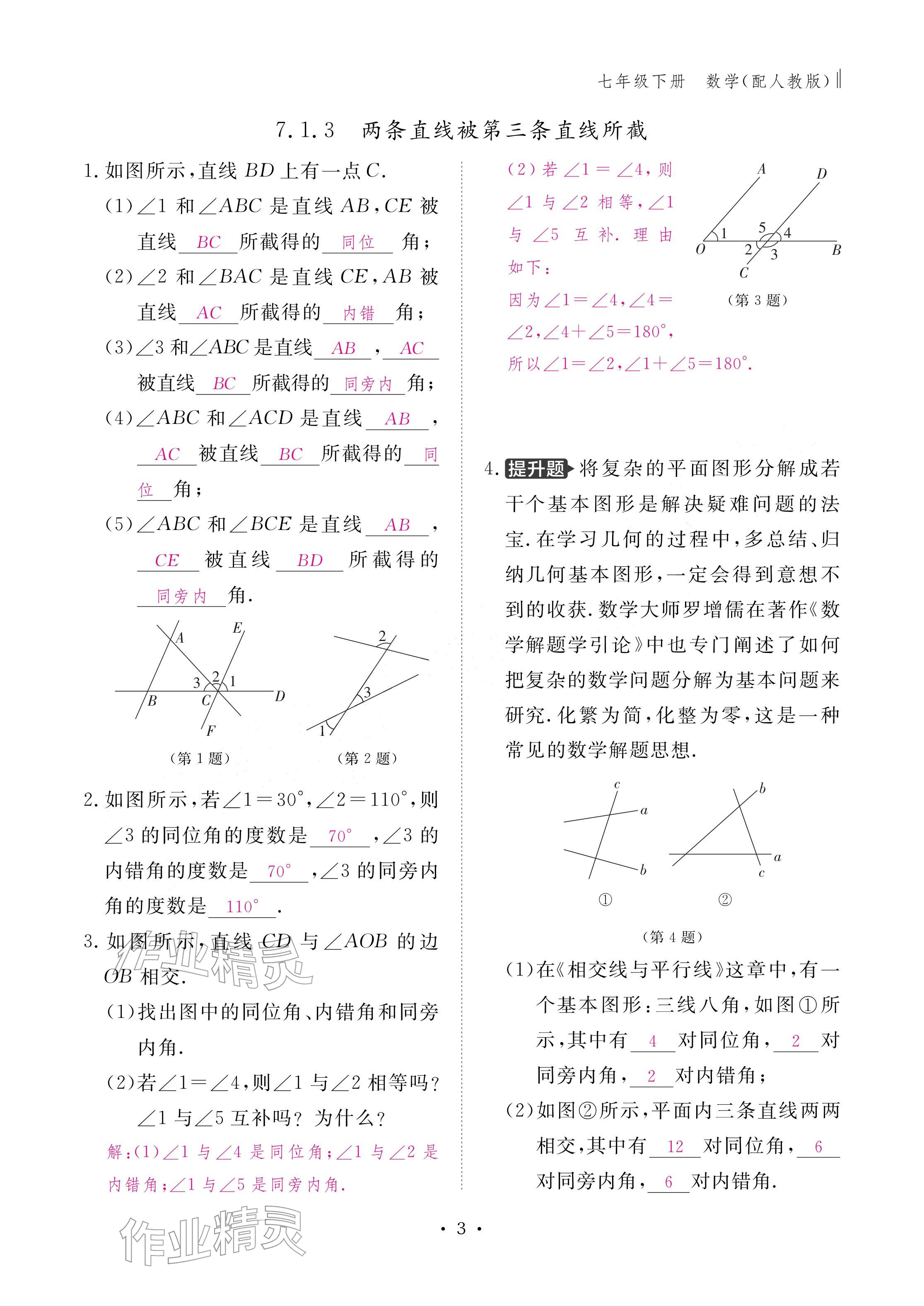 2026年作业本江西教育出版社七年级数学下册人教版&nbsp;参考答案第3页