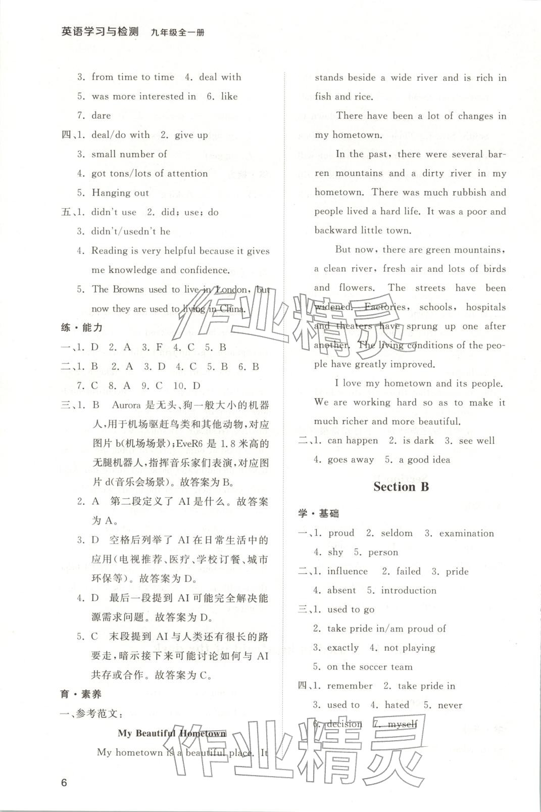 2025年新课程学习与检测九年级英语全一册人教版 第6页