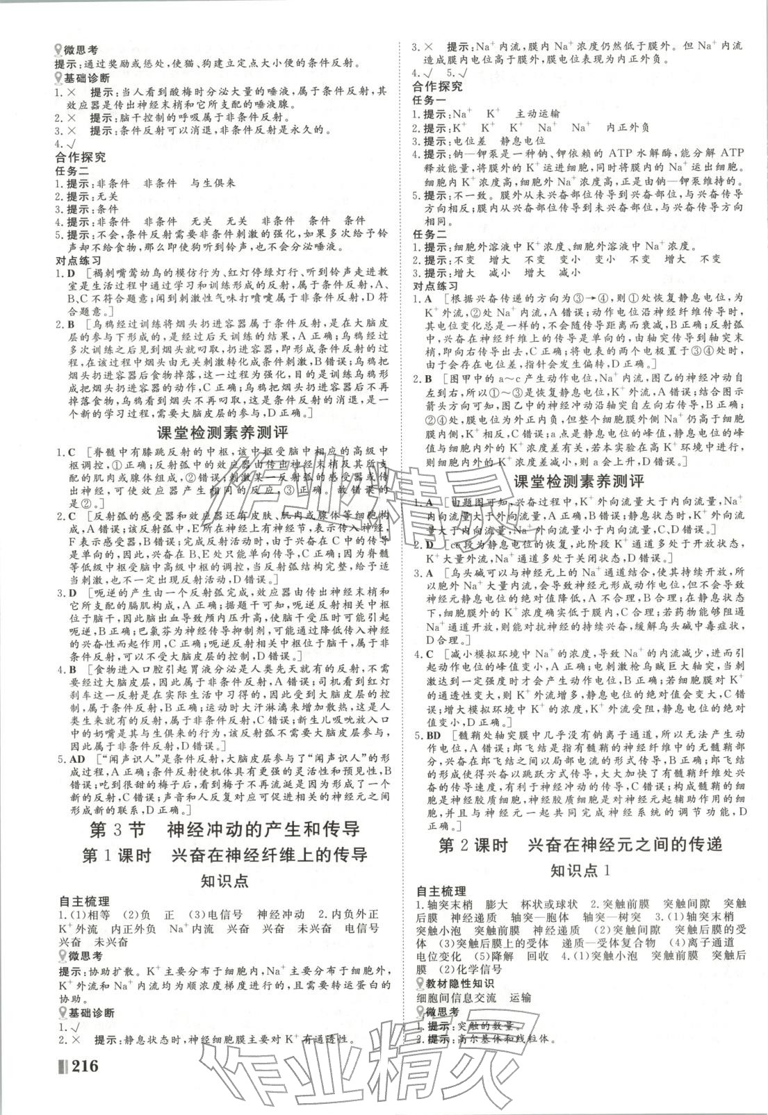 2025年非常学案高中生物选择性必修第一册人教版 第4页