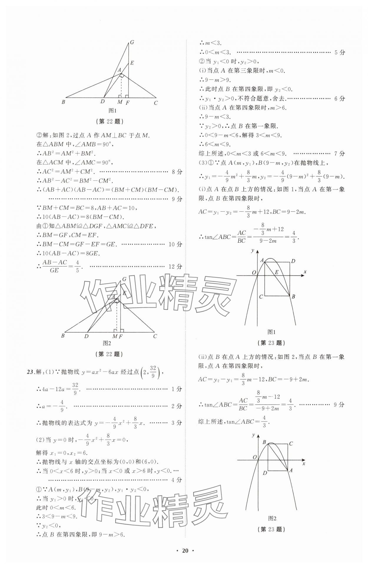 2025年中考必備遼寧師范大學(xué)出版社數(shù)學(xué)遼寧專版 參考答案第20頁(yè)