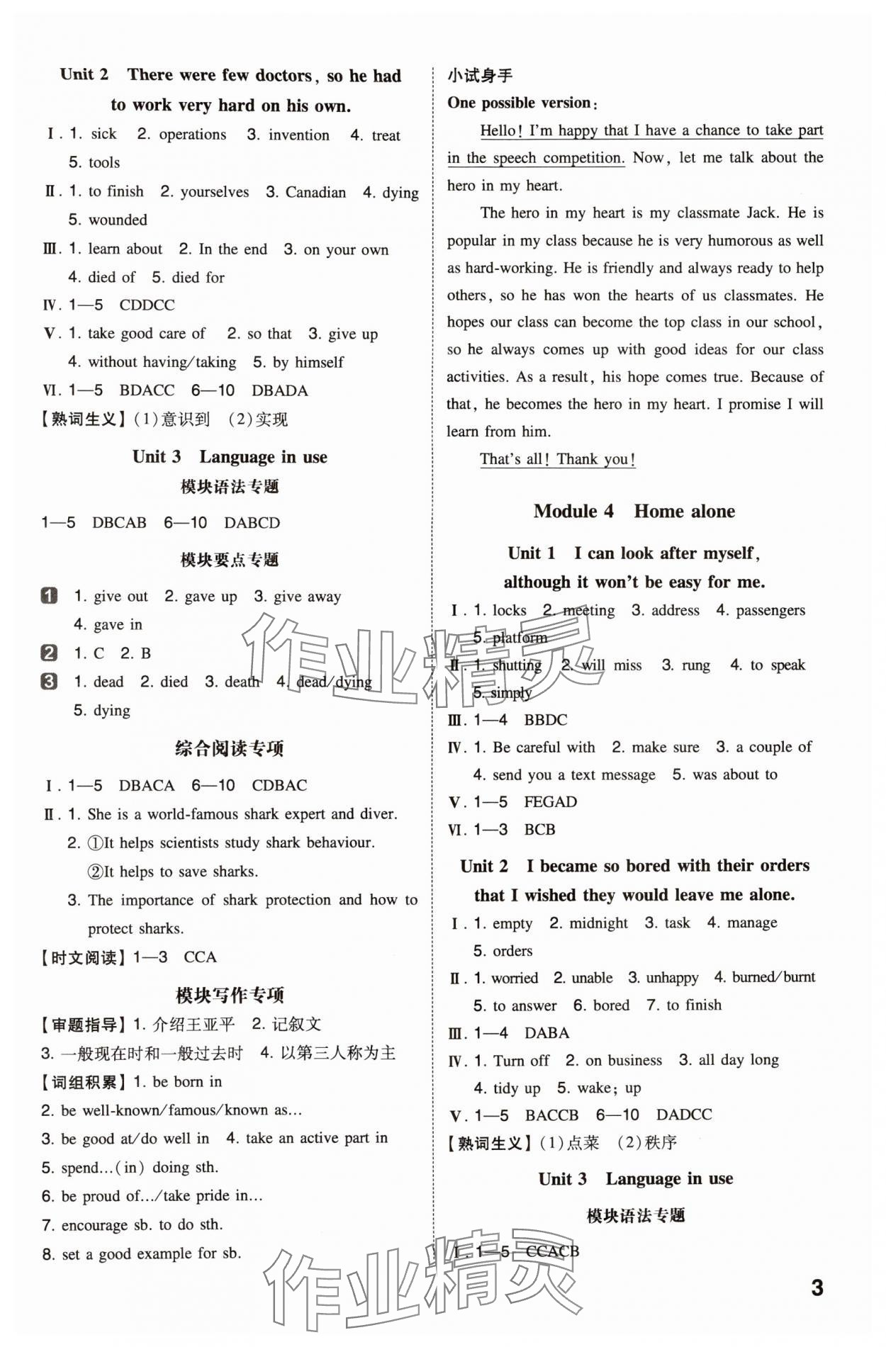 2024年一本同步訓(xùn)練九年級(jí)初中英語(yǔ)上冊(cè)外研版 第3頁(yè)