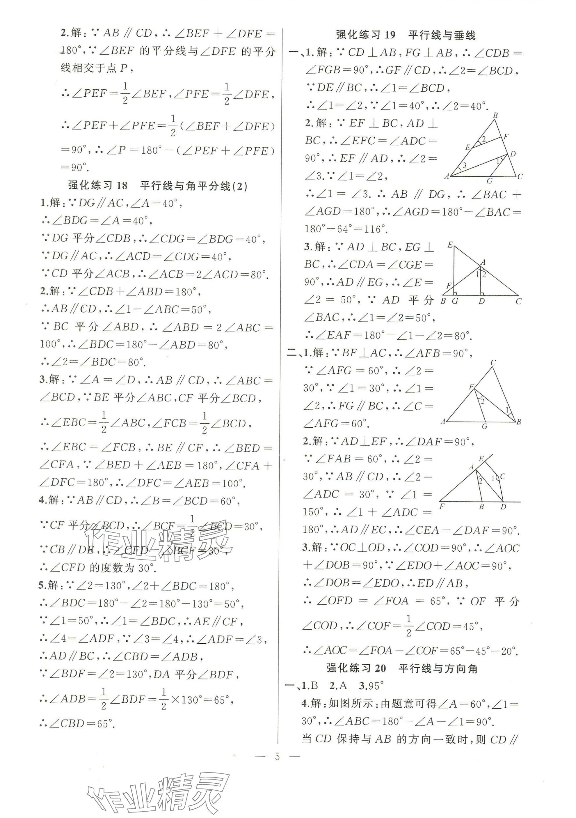 2025年高手點題計算攻略七年級數學下冊人教版 參考答案第5頁