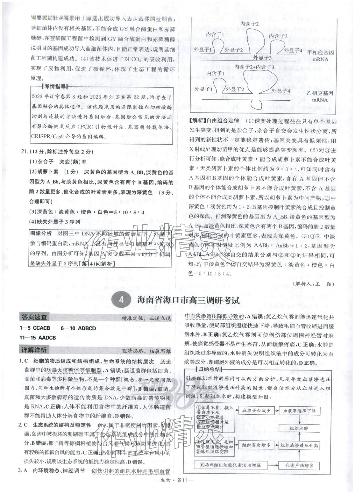 2026年高考模擬試題匯編高中生物全一冊(cè)通用版&nbsp;參考答案第11頁(yè)