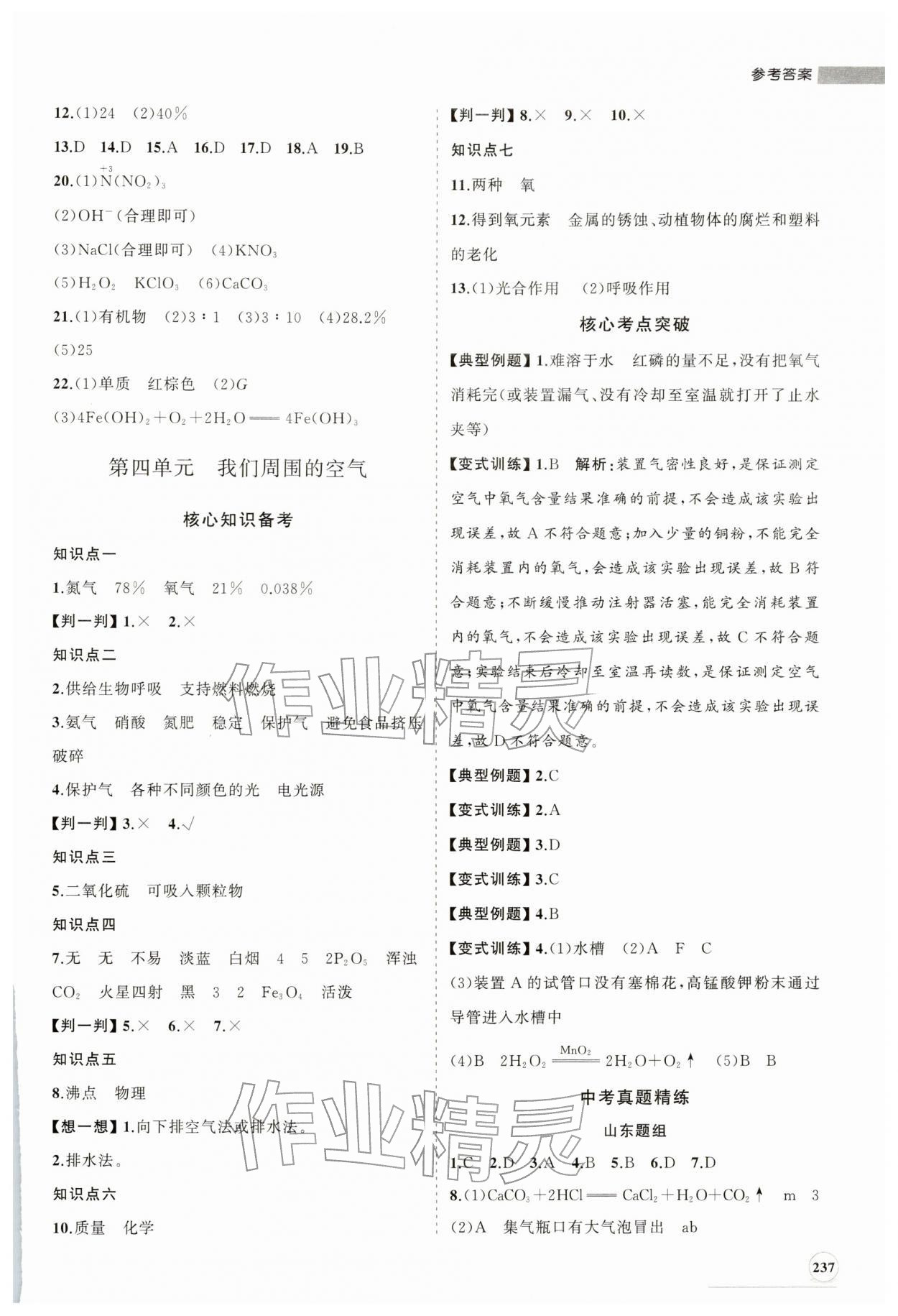 2026年初中總復習手冊山東人民出版社化學魯教版&nbsp;第5頁