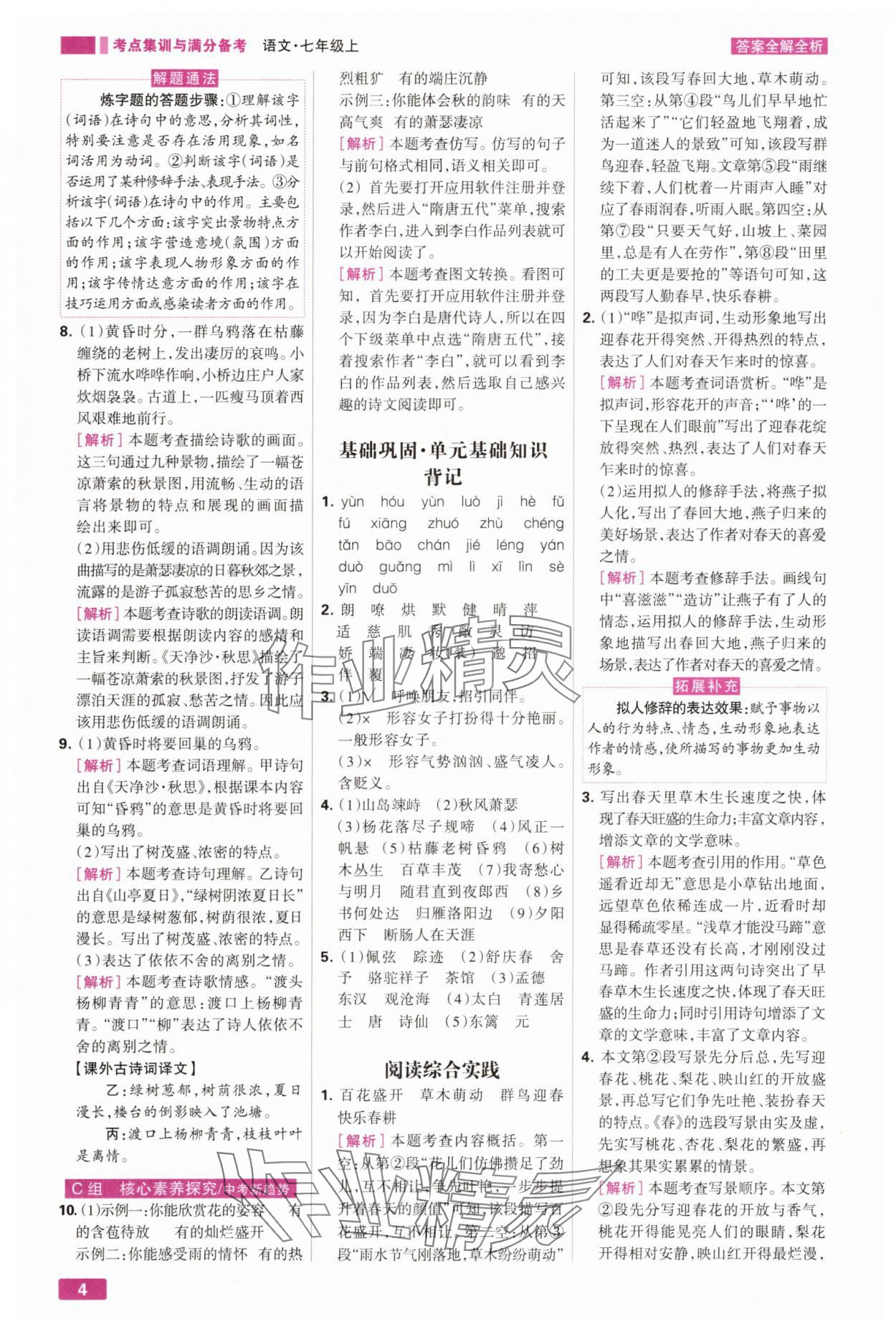 2025年考点集训与满分备考七年级语文上册人教版 第4页