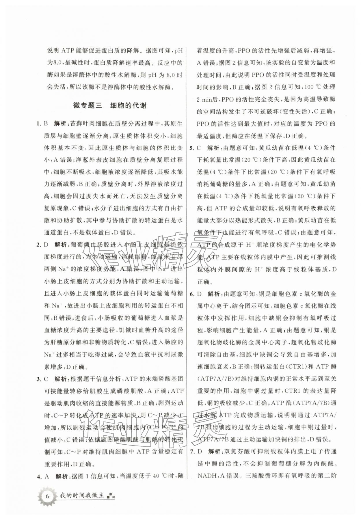 2026年最高考寒假作業(yè)高三生物&nbsp;第6頁