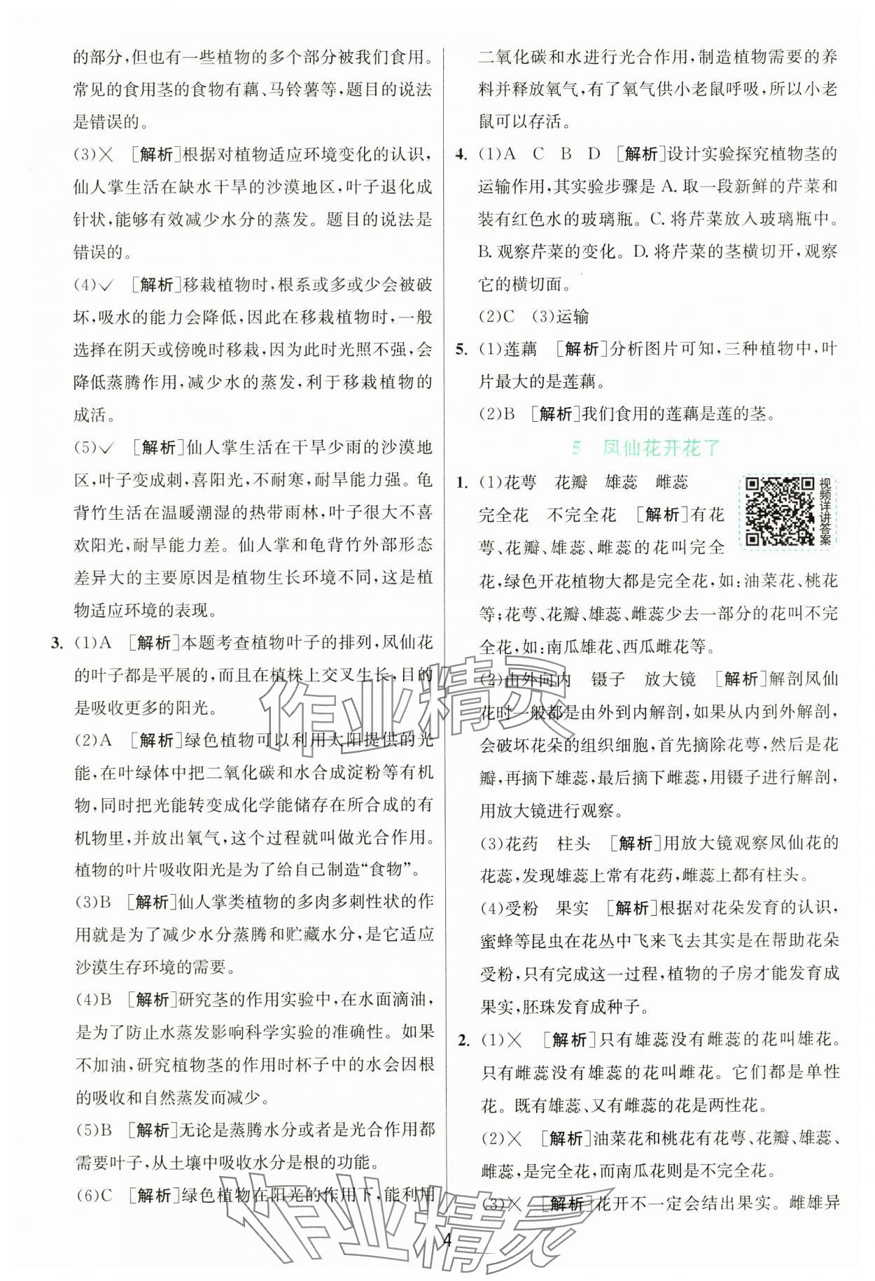 2025年實驗班提優訓練四年級科學下冊教科版 參考答案第4頁