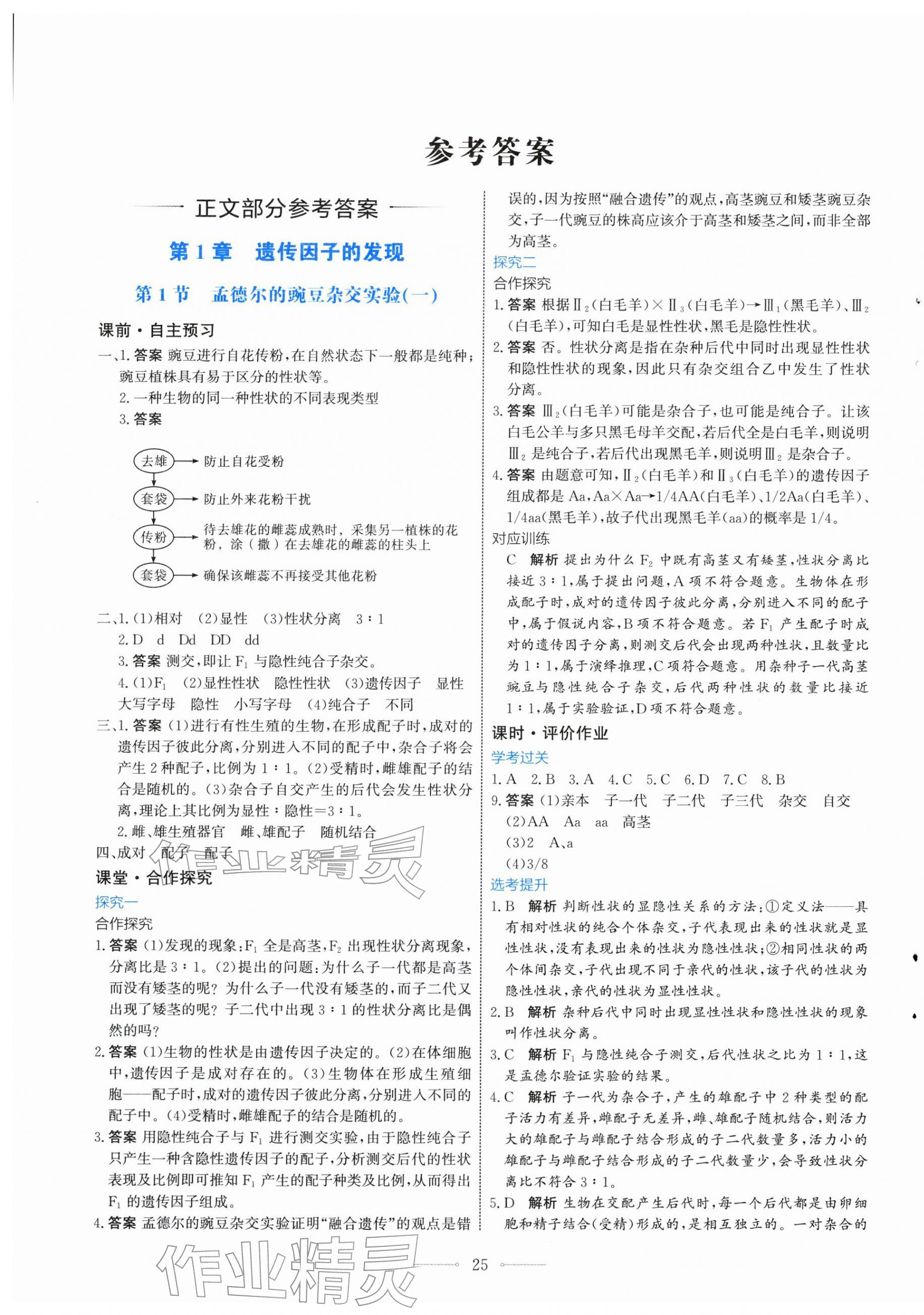 2026年阳光课堂人民教育出版社高中生物必修第二册福建专版&nbsp;第1页