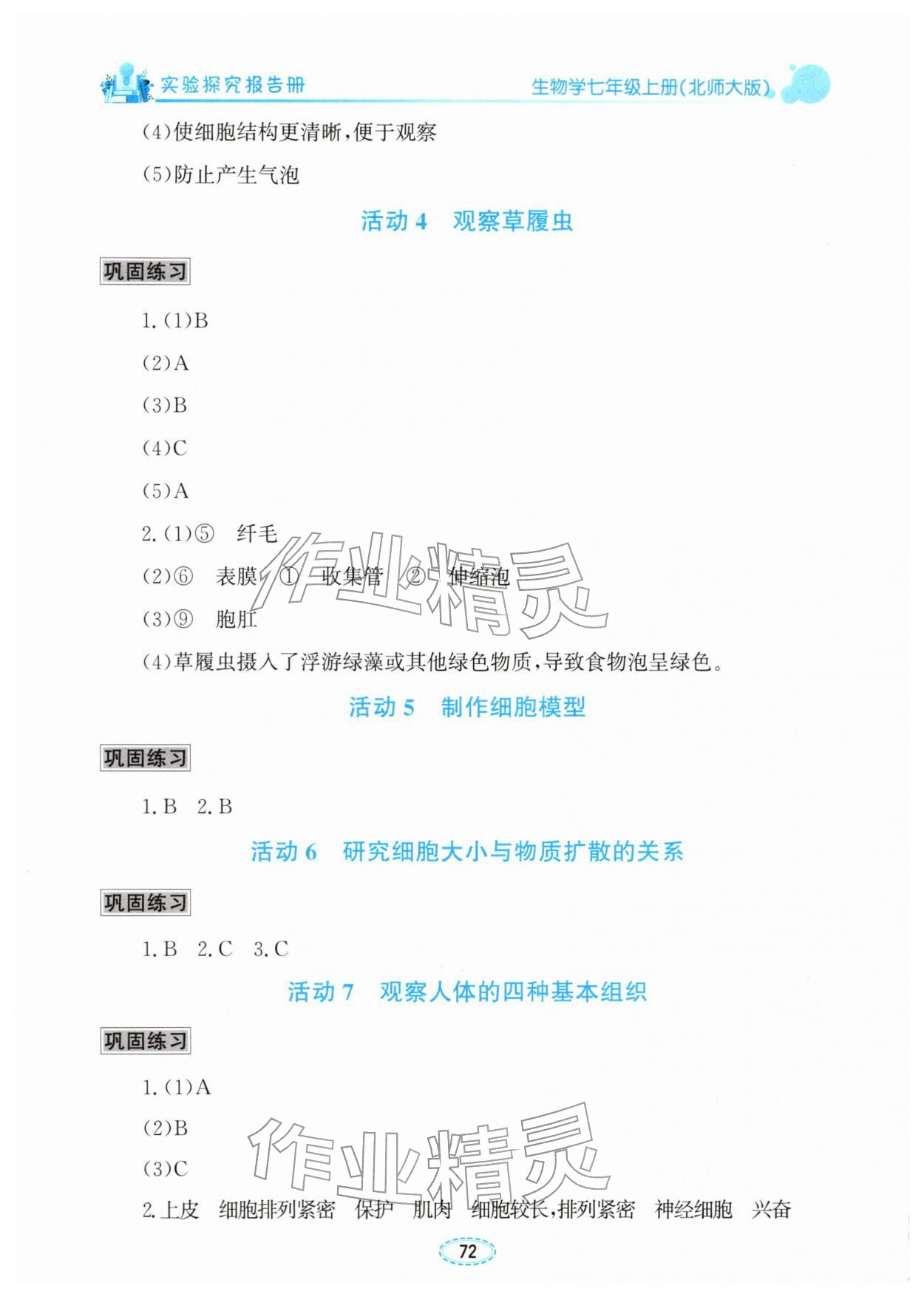 2025年实验探究报告册七年级生物上册北师大版 第2页