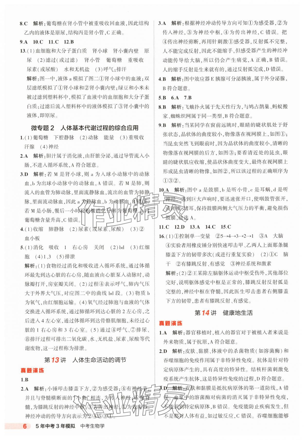 2025年5年中考3年模擬生物中考河北專版 參考答案第6頁(yè)