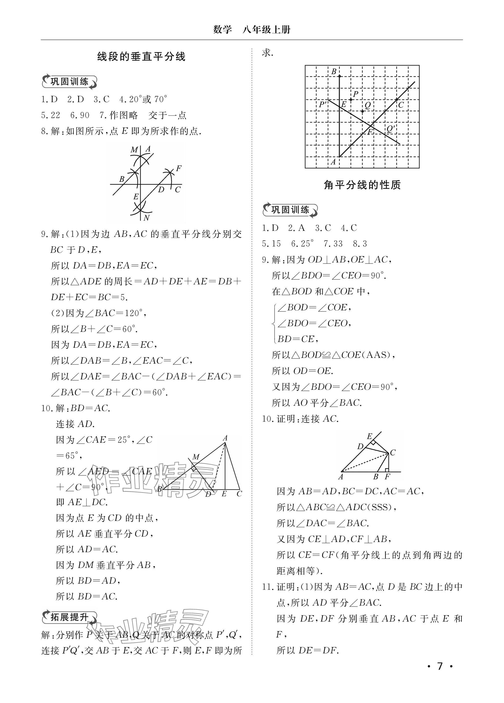 2024年行知天下八年級(jí)數(shù)學(xué)上冊(cè)青島版 參考答案第7頁(yè)