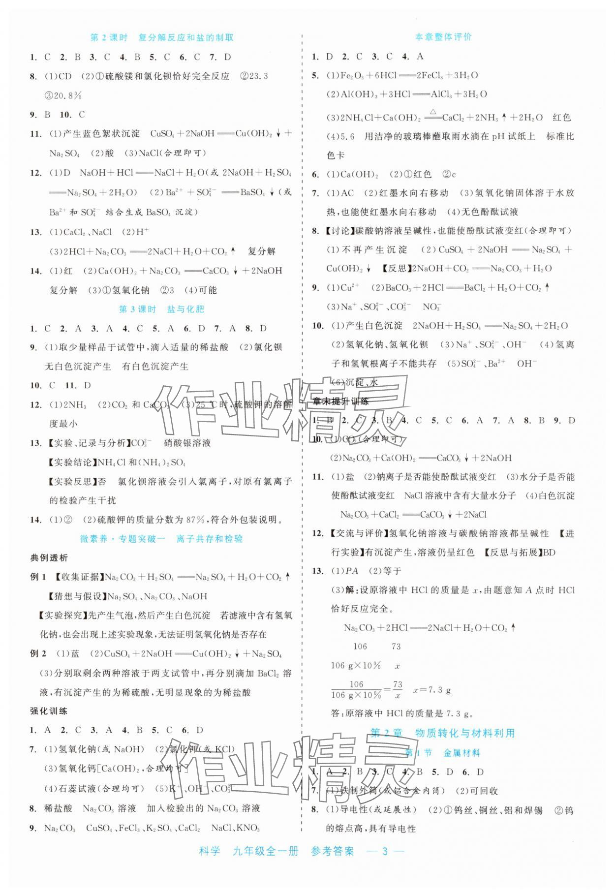 2023年精彩練習(xí)就練這一本九年級科學(xué)全一冊浙教版評議教輔 第3頁