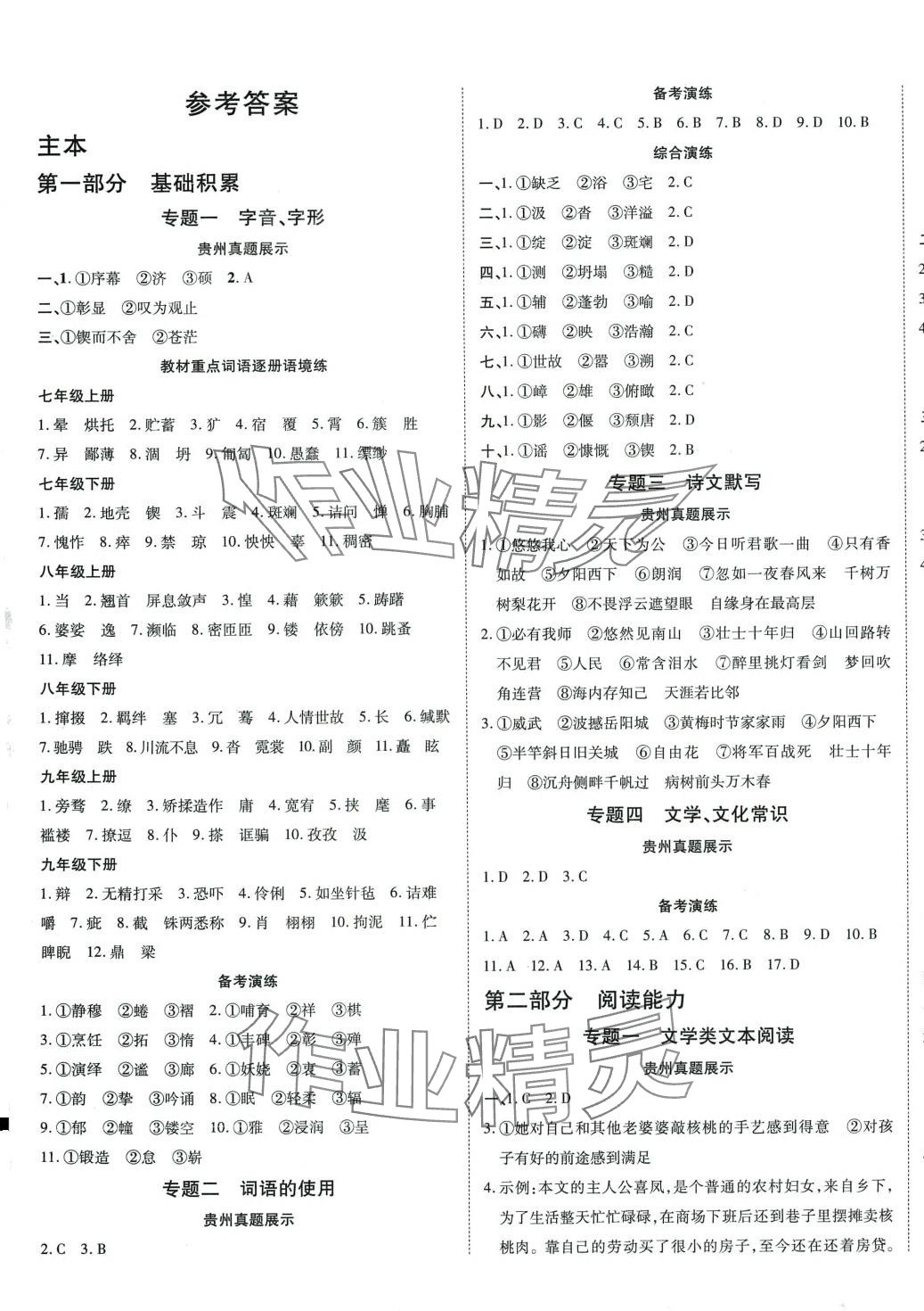 2024年中考必備云南美術(shù)出版社語文中考貴州專版 第9頁