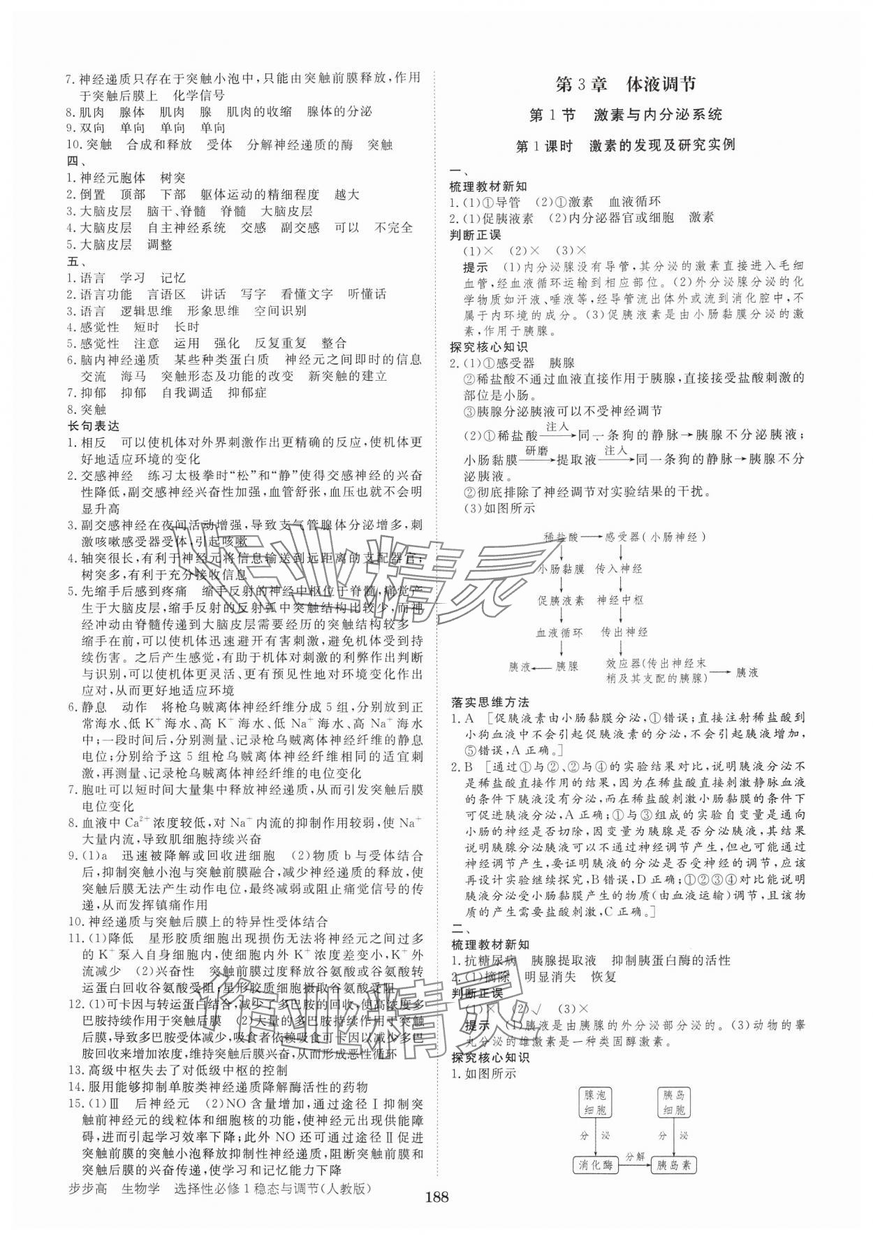 2024年步步高學(xué)習(xí)筆記高中生物選擇性必修1人教版 參考答案第7頁