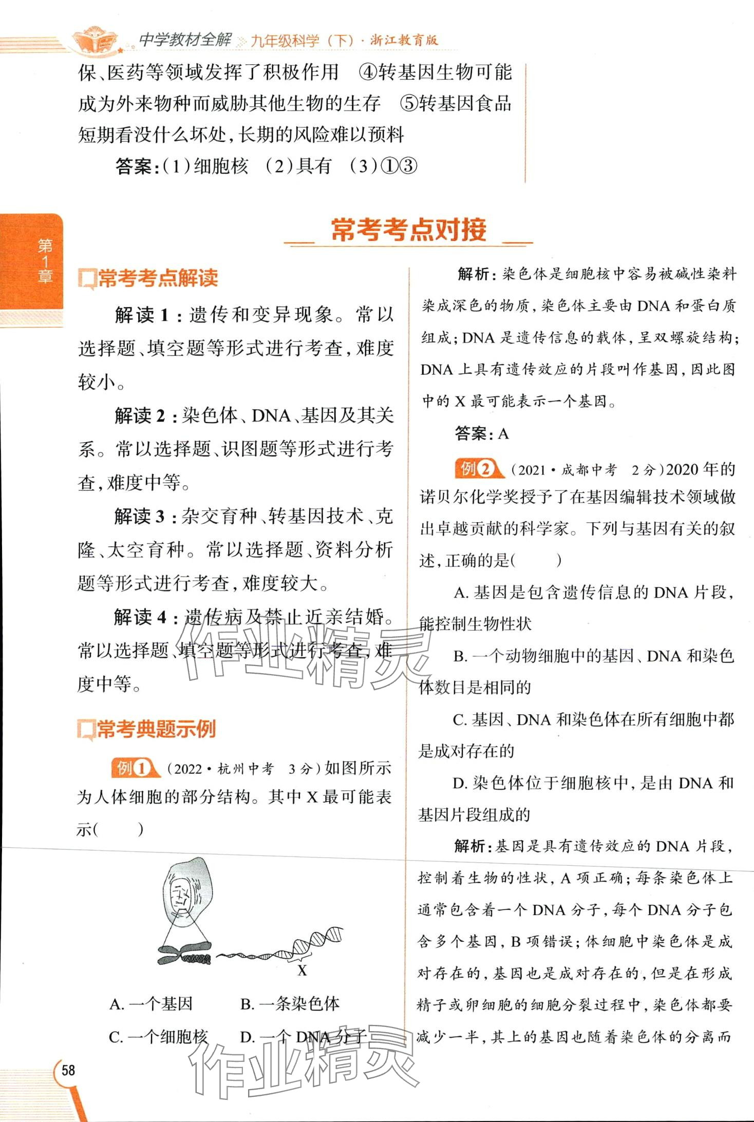 2024年教材全解九年級科學下冊浙教版 第58頁