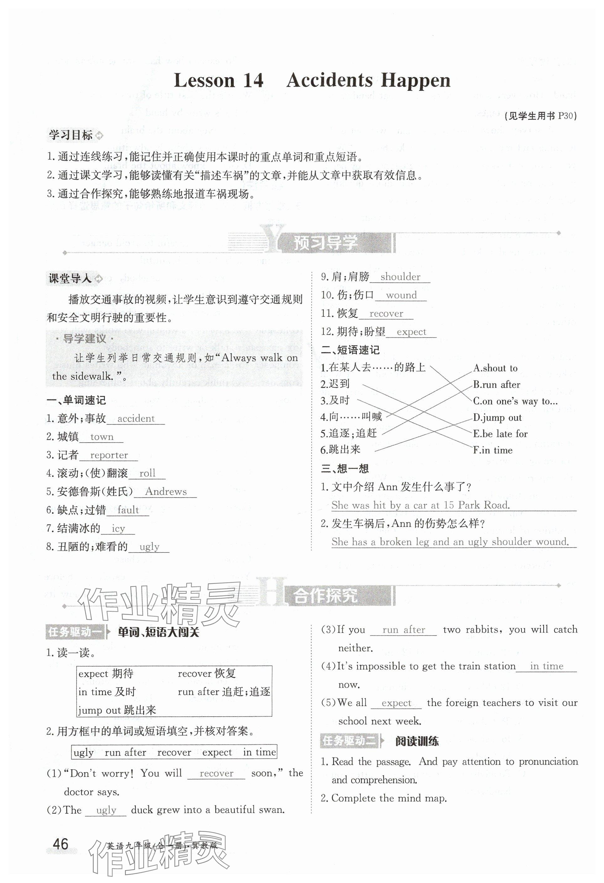 2024年金太阳导学案九年级英语全一册冀教版 参考答案第46页