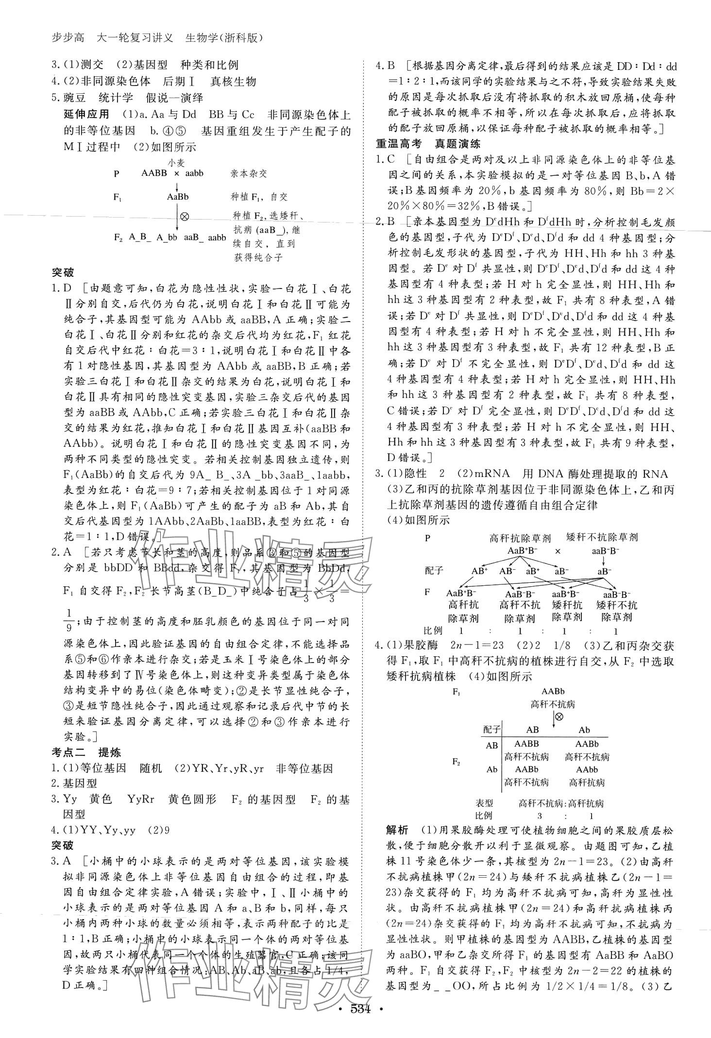 2024年步步高大一輪復(fù)習(xí)講義高中生物浙科版 第24頁(yè)