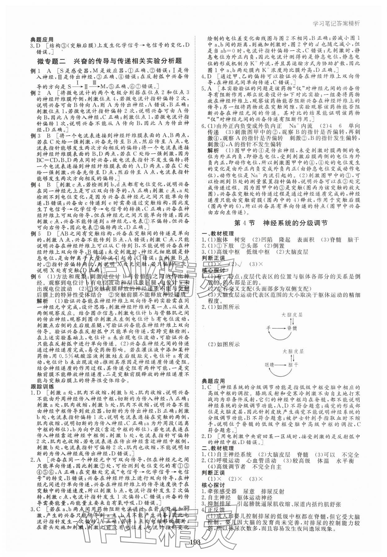 2023年步步高學(xué)習(xí)筆記高中生物選擇性必修1人教版 參考答案第4頁