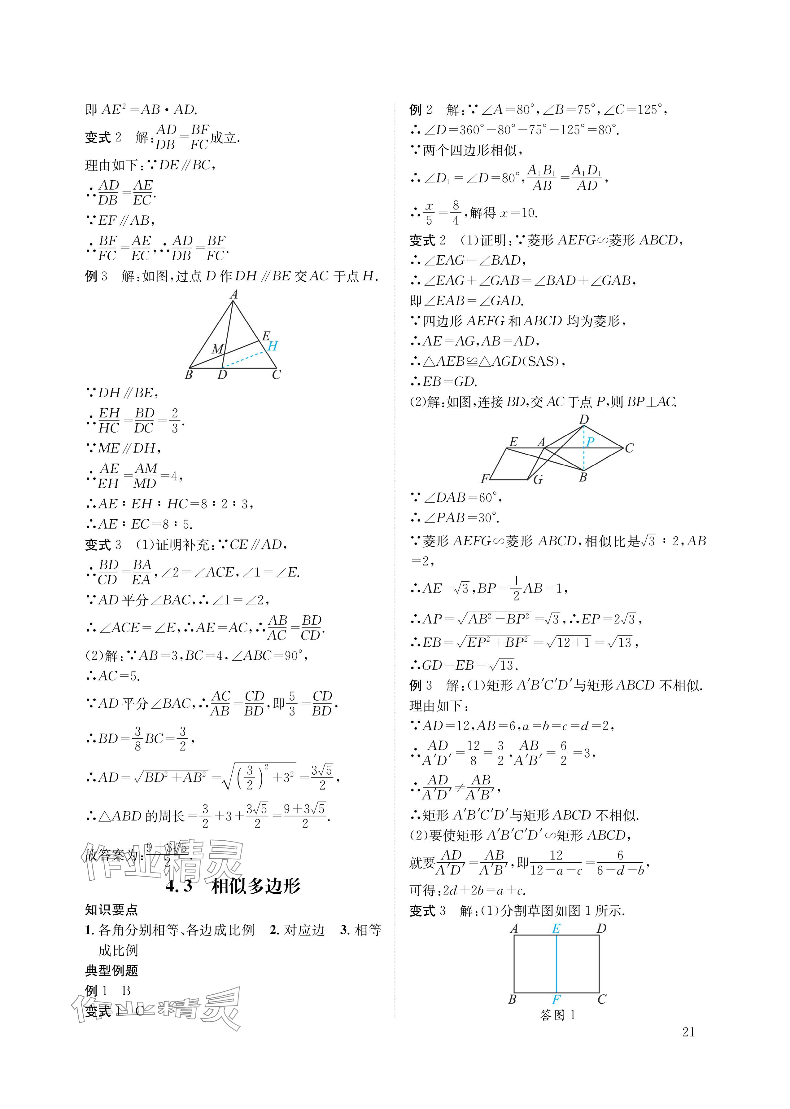 2024年第一學(xué)堂九年級數(shù)學(xué)上冊北師大版 參考答案第21頁