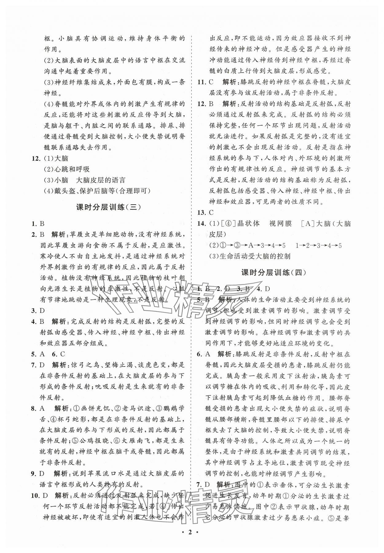 2024年同步練習冊分層卷七年級生物下冊魯科版54制 參考答案第2頁