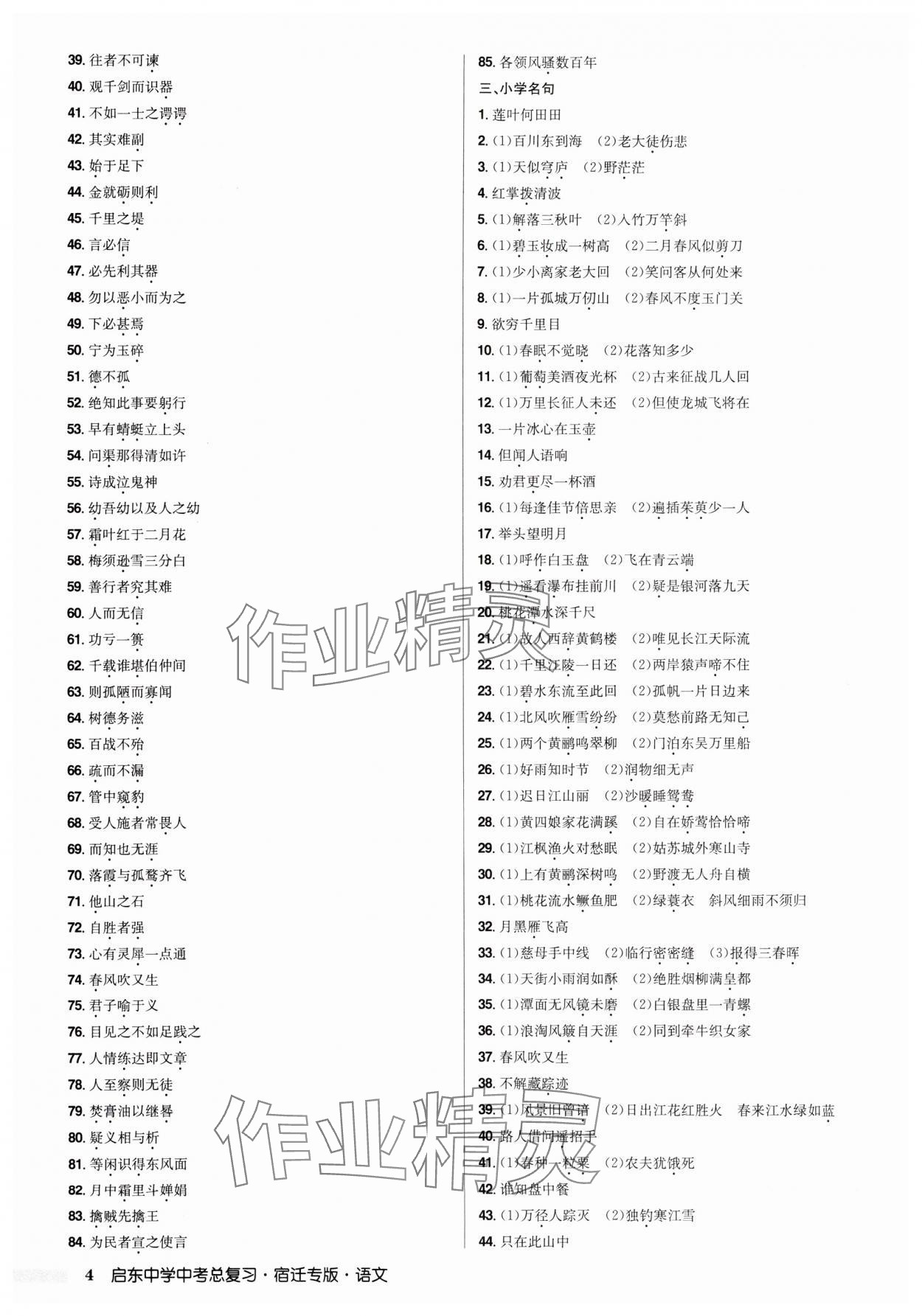 2025年啟東中學中考總復習語文宿遷專版 第4頁