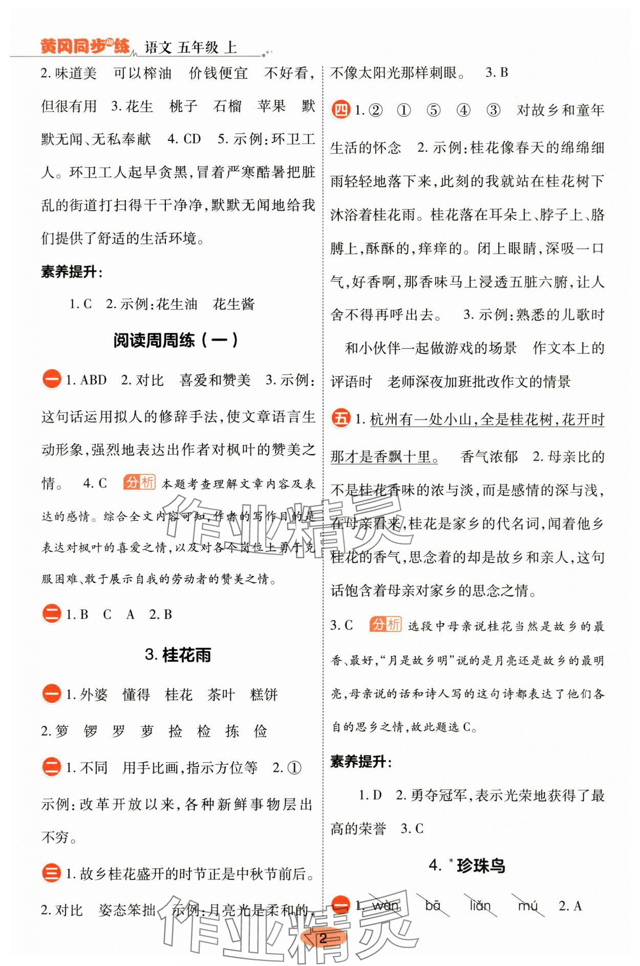 2025年黄冈同步训练五年级语文上册人教版 参考答案第2页