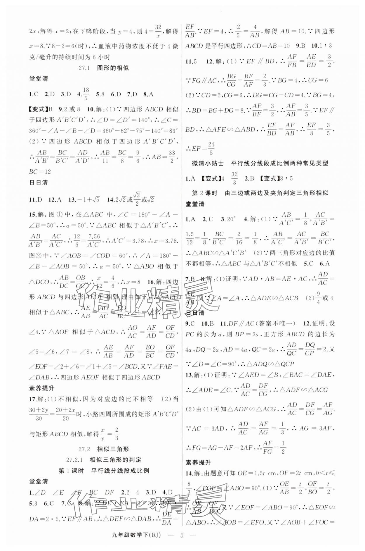 2025年四清導(dǎo)航九年級數(shù)學(xué)下冊人教版河南專版 第5頁