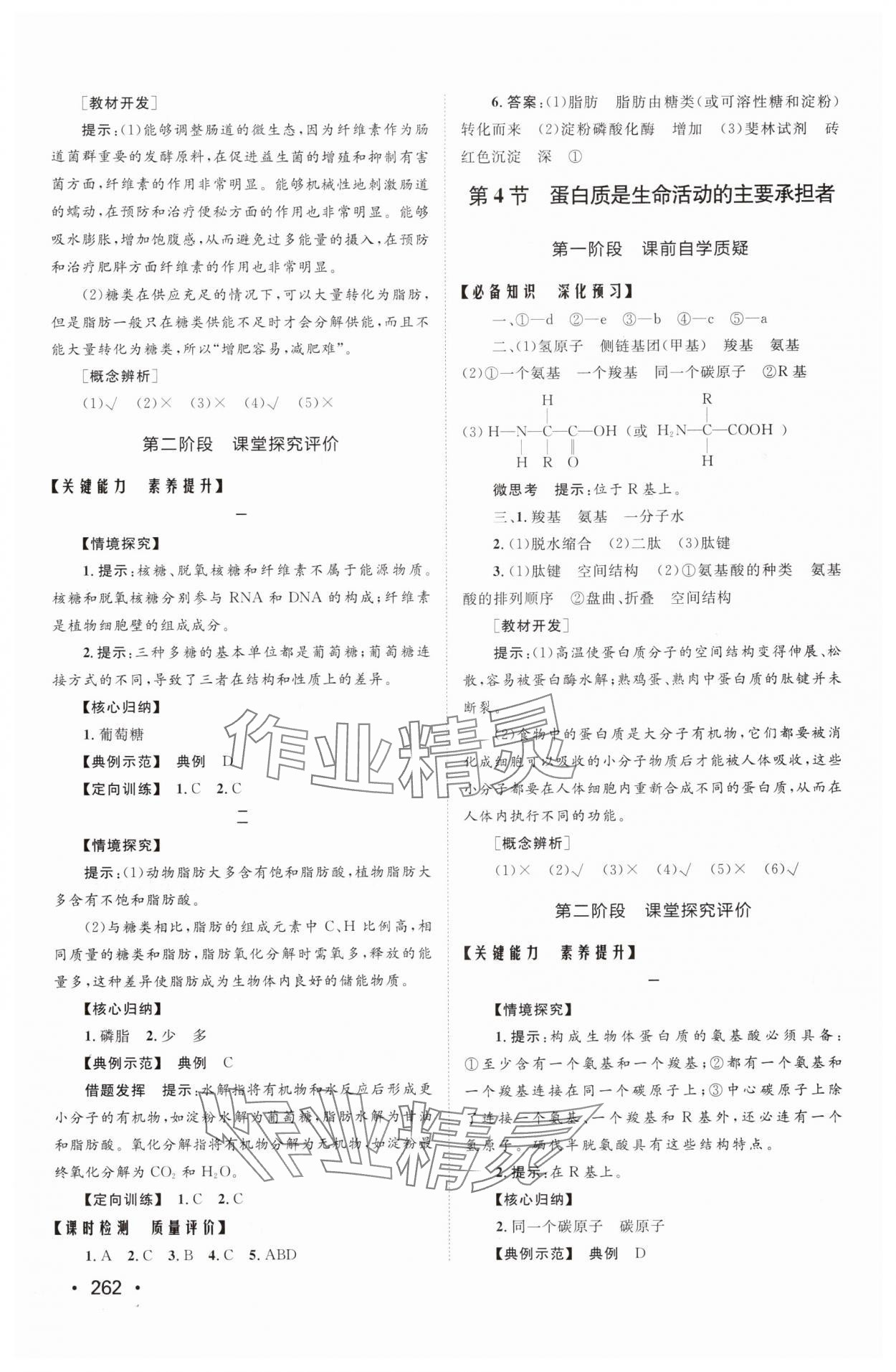 2025年同步练习册山东人民出版社高中生物必修1人教版 参考答案第4页
