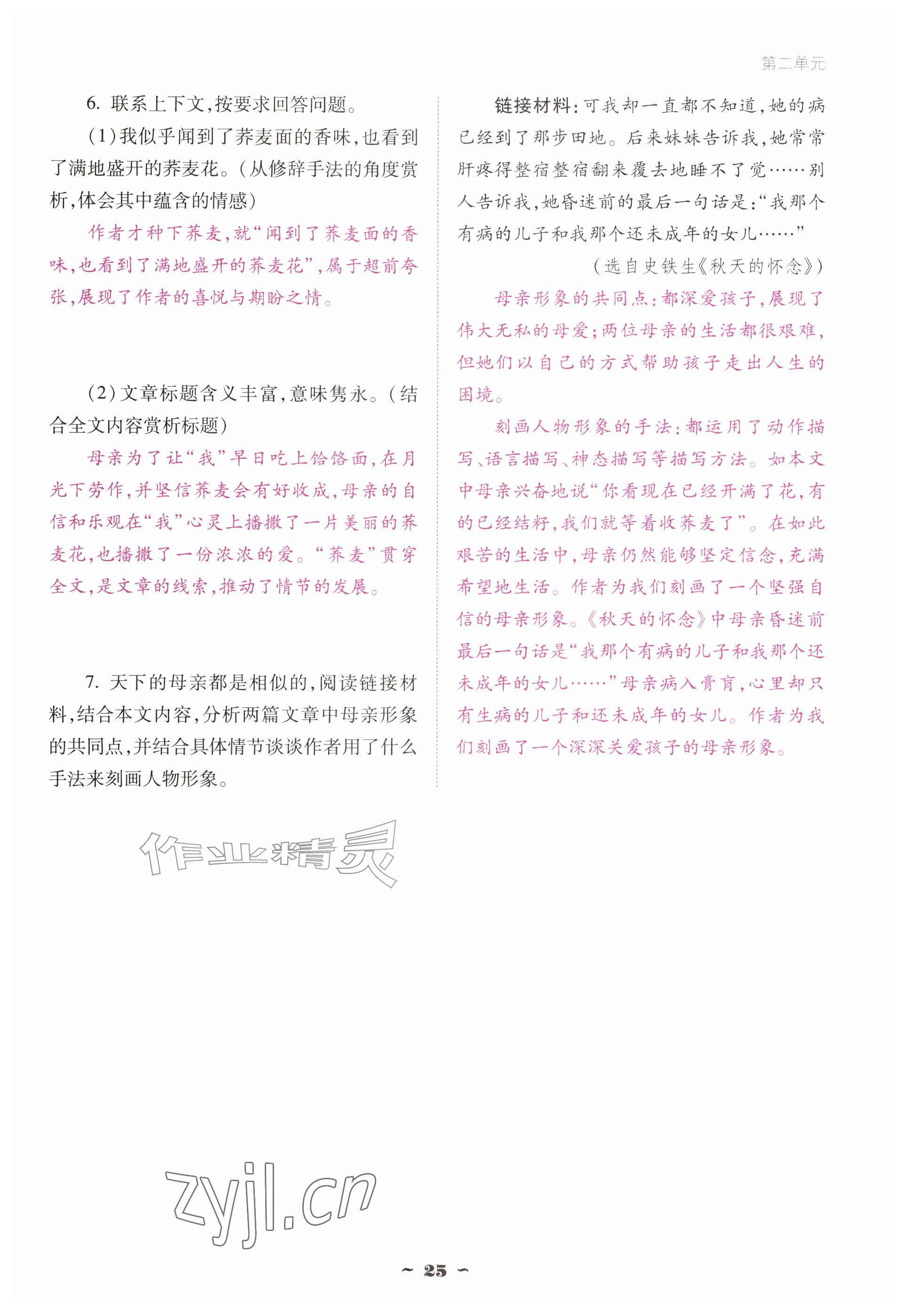 2026年云南省标准教辅优佳学案七年级语文上册人教版&nbsp;参考答案第25页