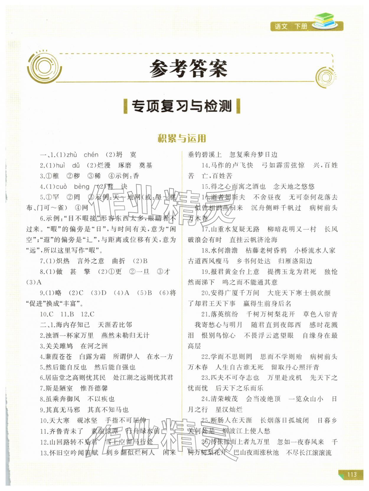 2026年河南省初中学业水平考试解析与检测语文下册&nbsp;第1页